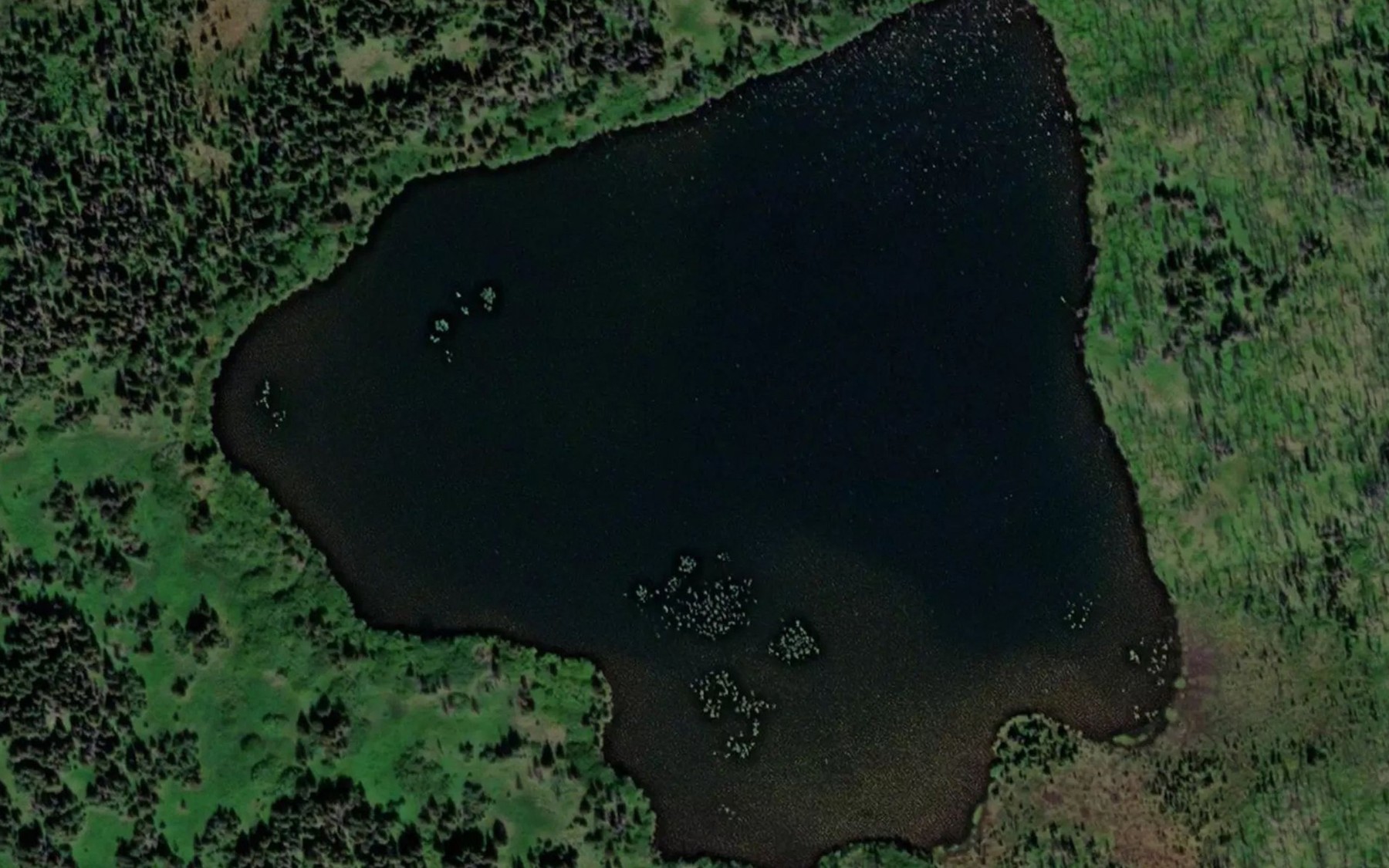 Satellite map of the Wolverine Lake
