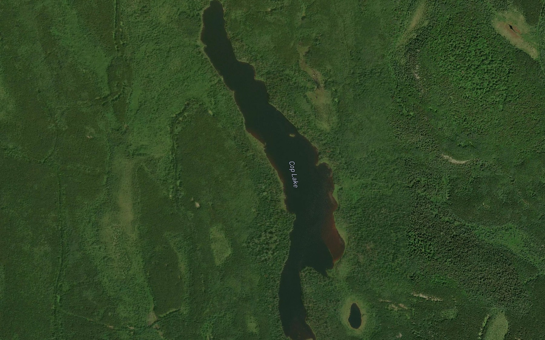 Satellite map of the Cop Lake