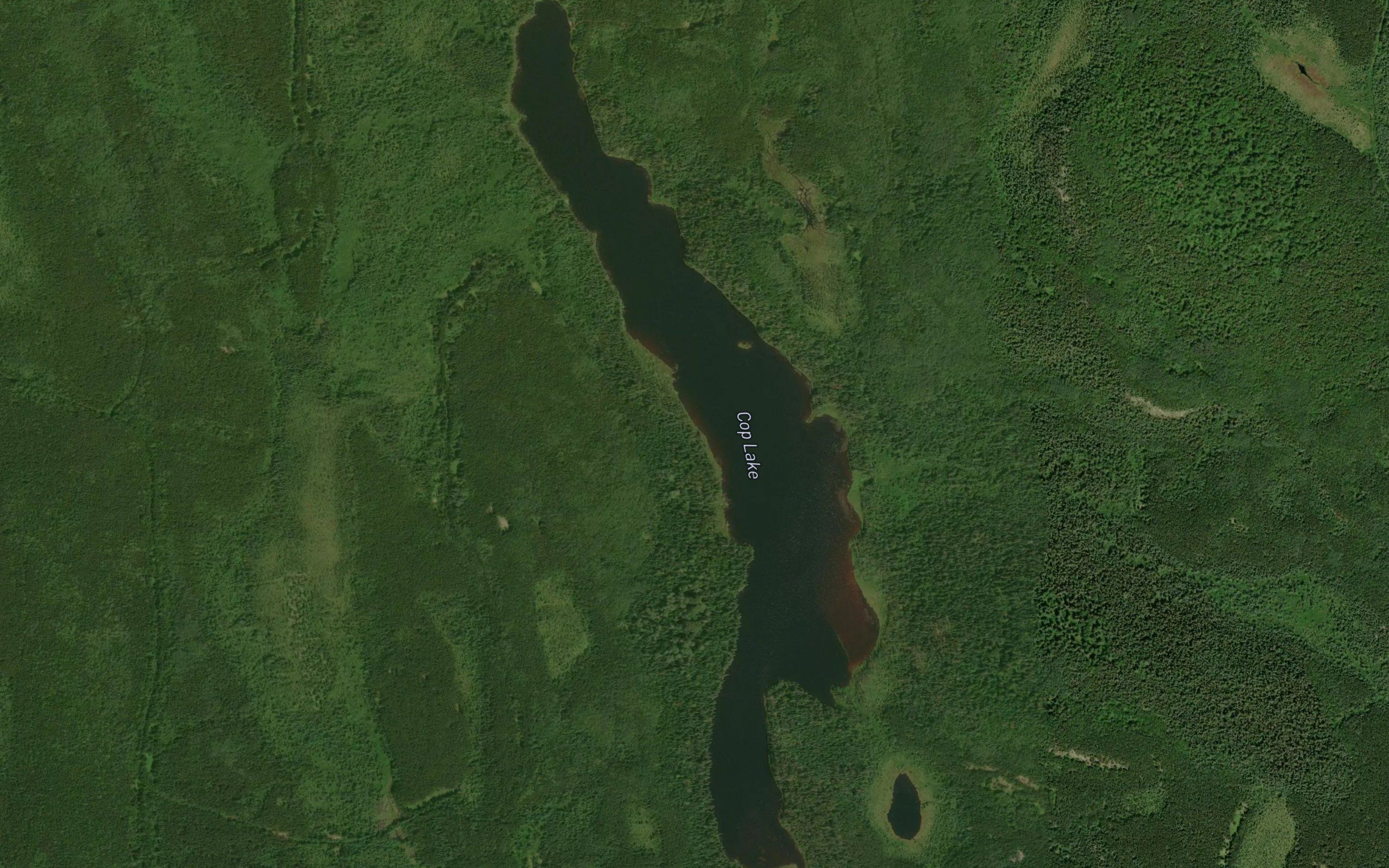 Cop Lake