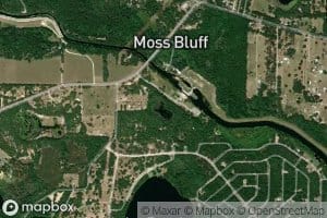 Moss Bluff Pond