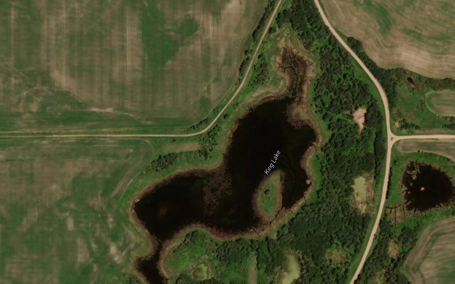 Satellite map of the King Lake