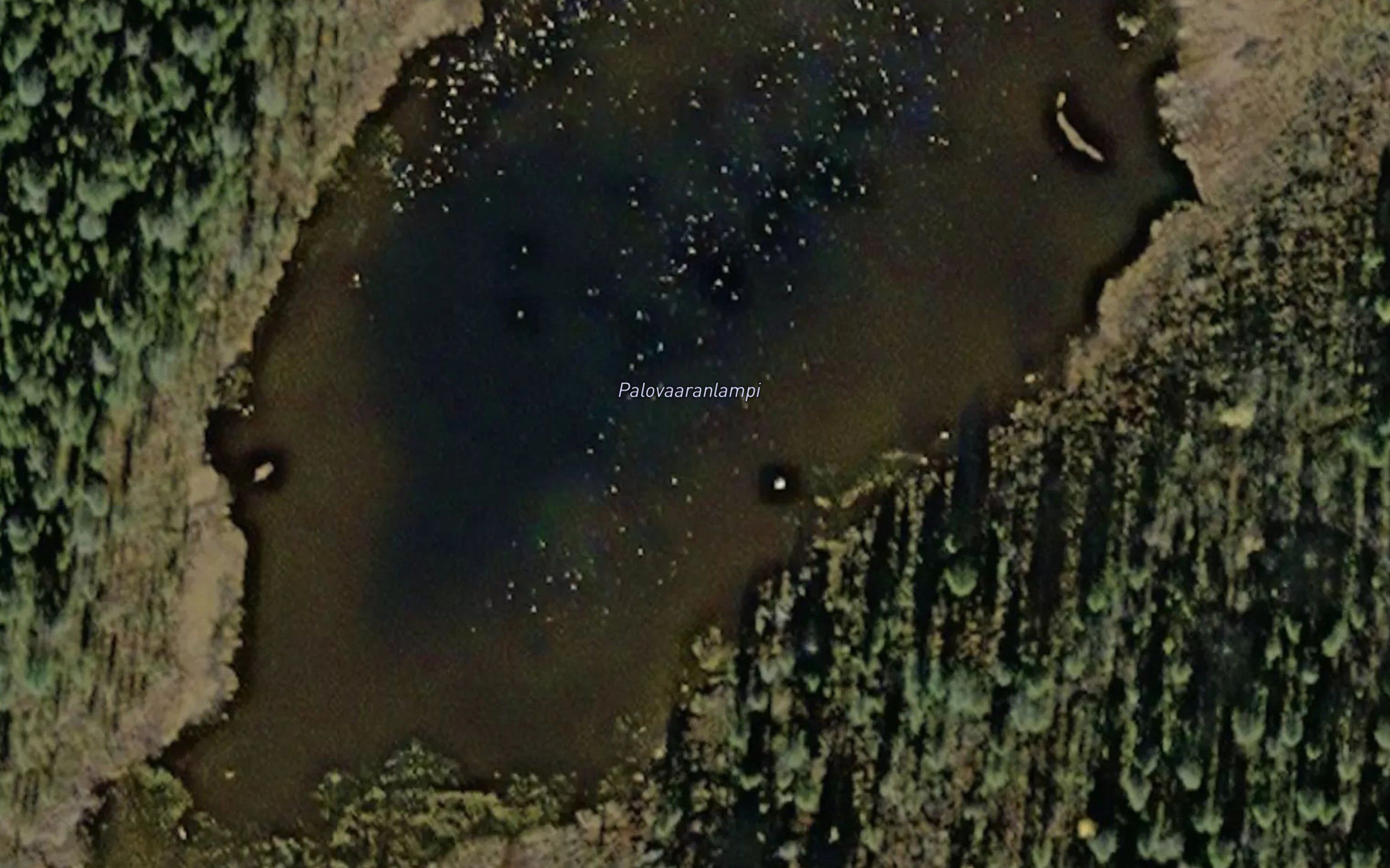 Palovaaranlampi