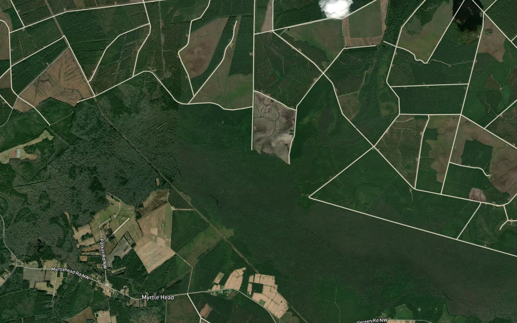 Satellite map of the Little Swamp