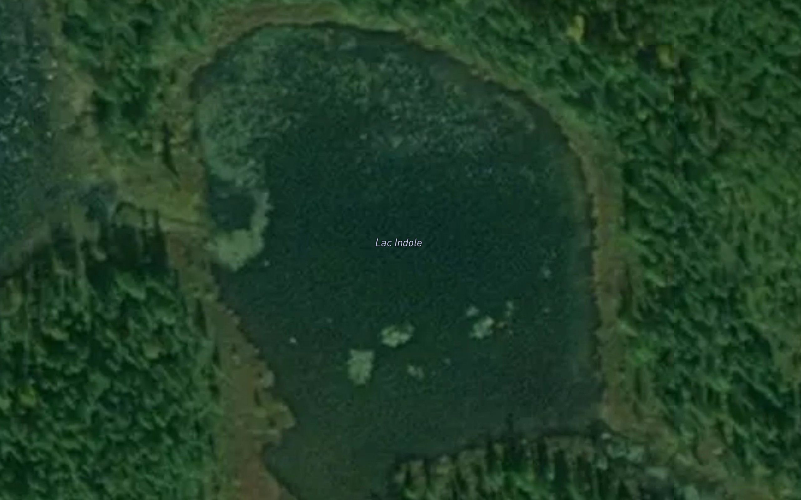 Lac Indole