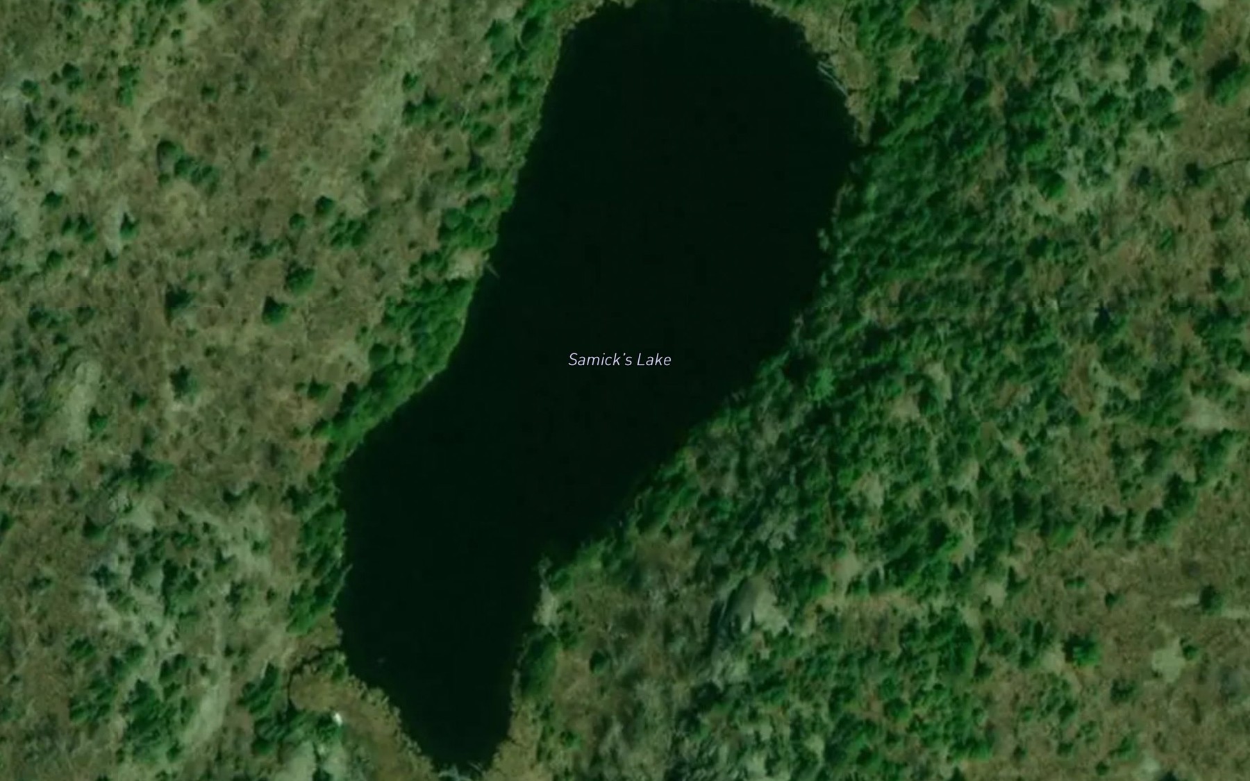 Satellite map of the Samick's Lake