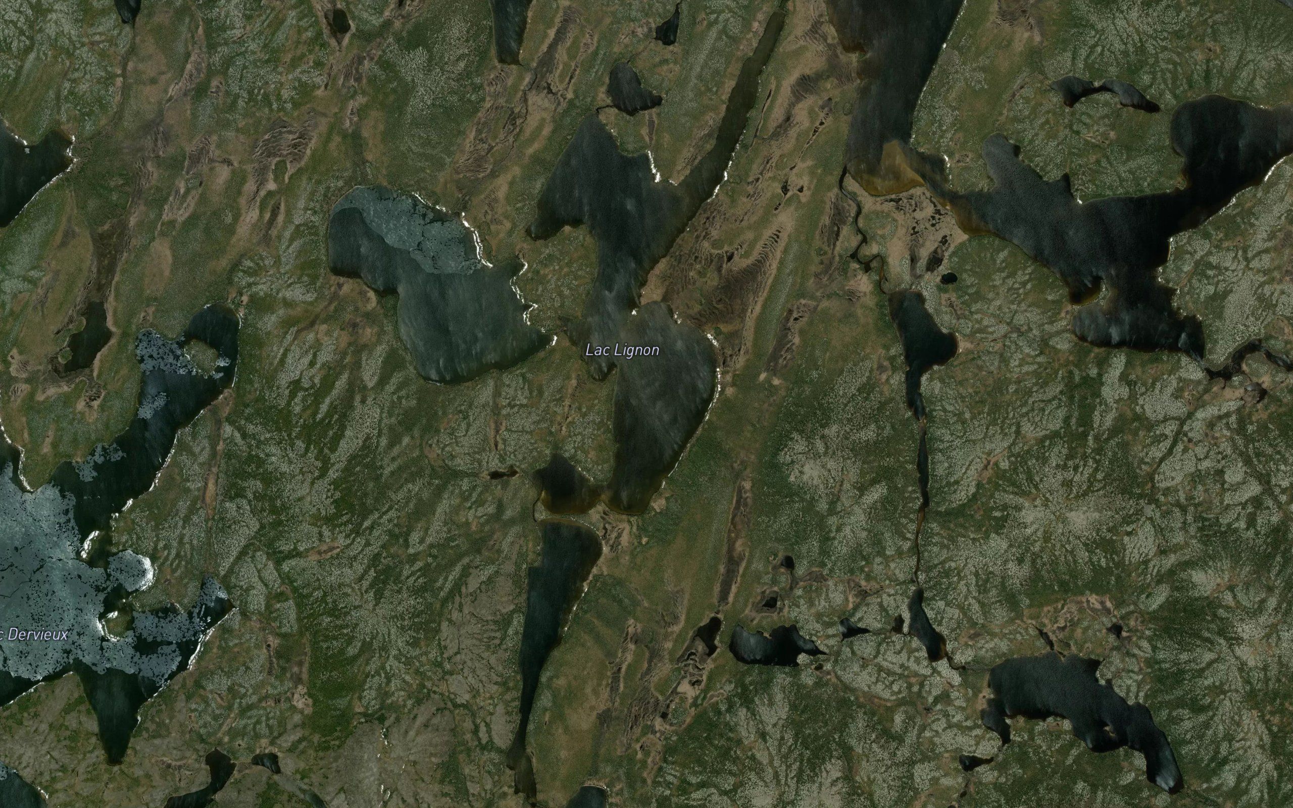 Lac Lignon