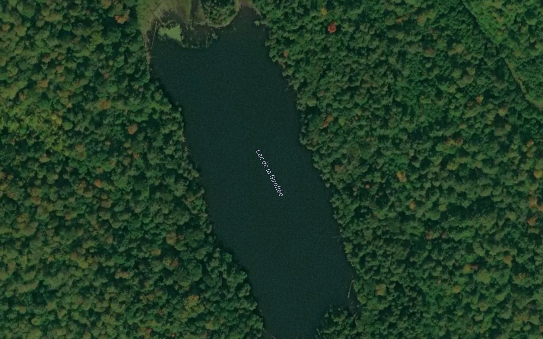 Satellite map of the Lac de la Giroflee