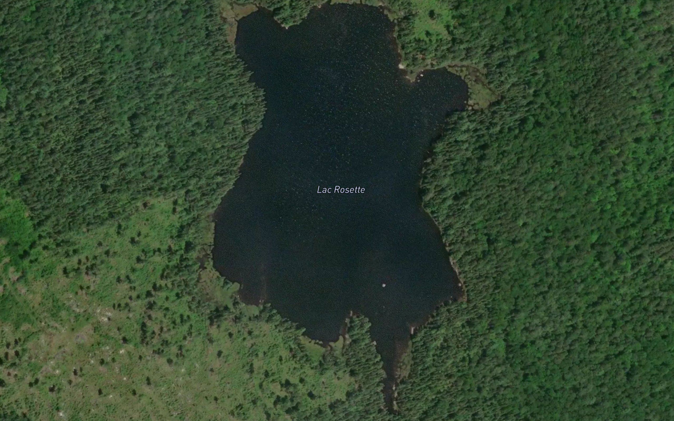 Lac Rosette