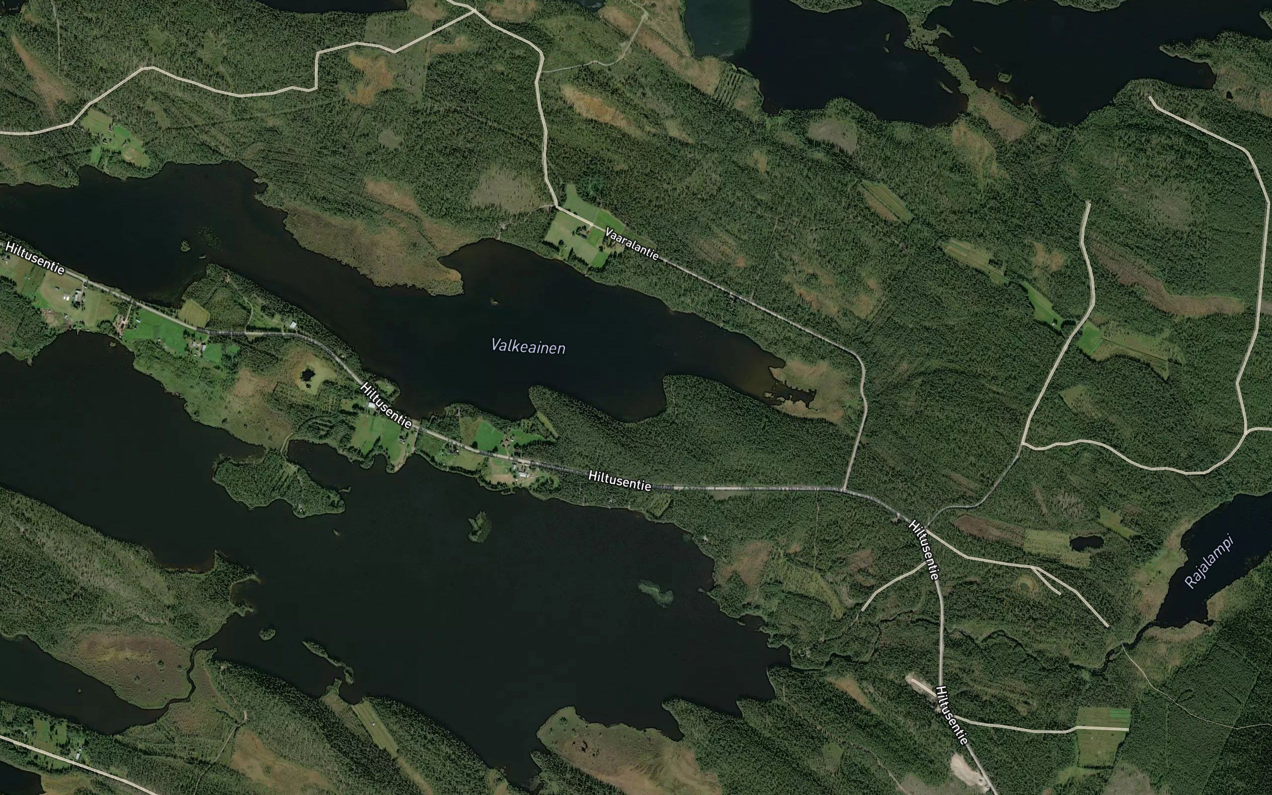 Junganlahti