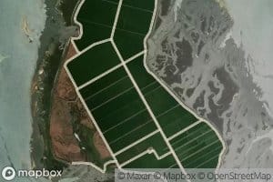 Esteiro das Moitas Altas