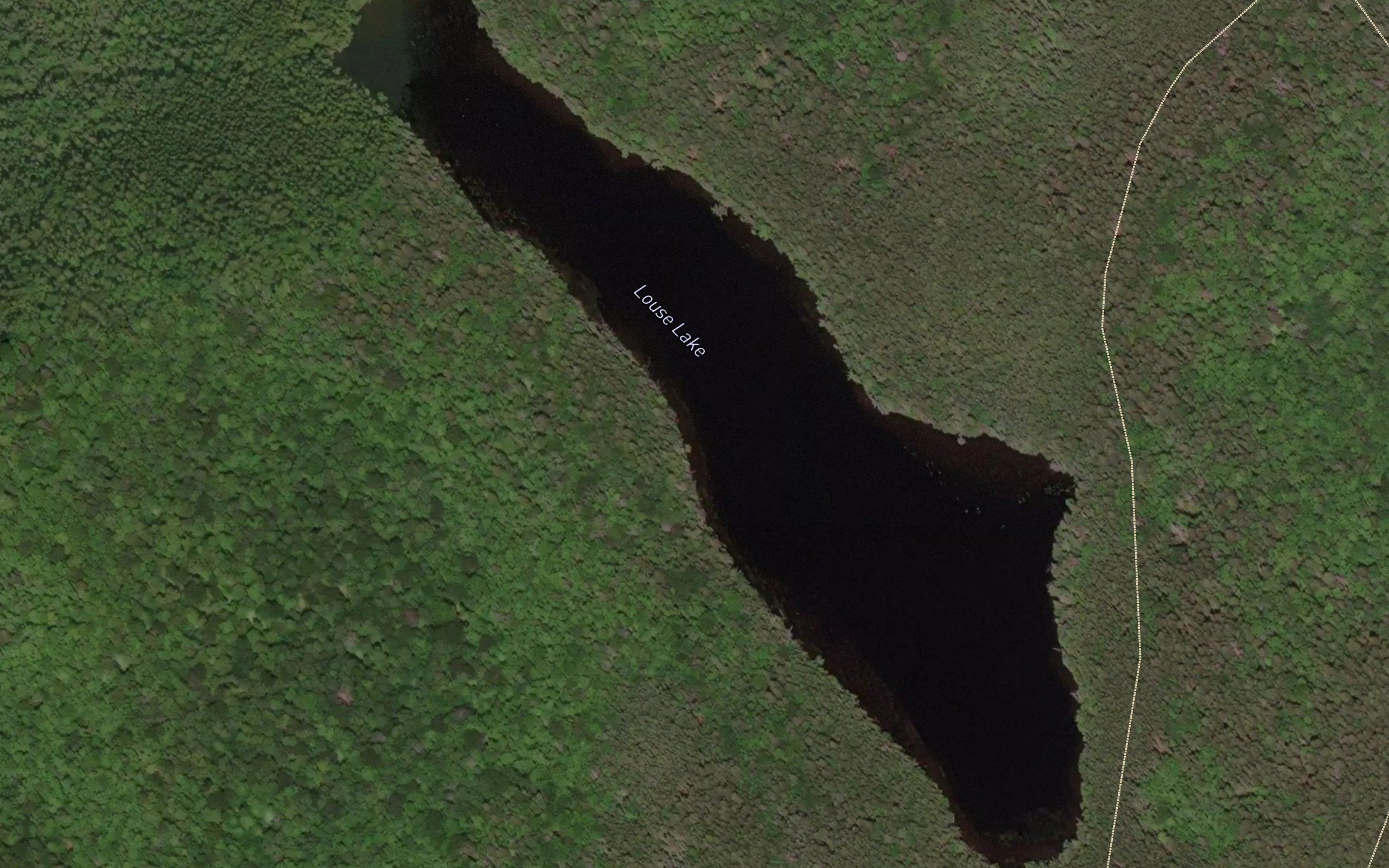 Louse Lake
