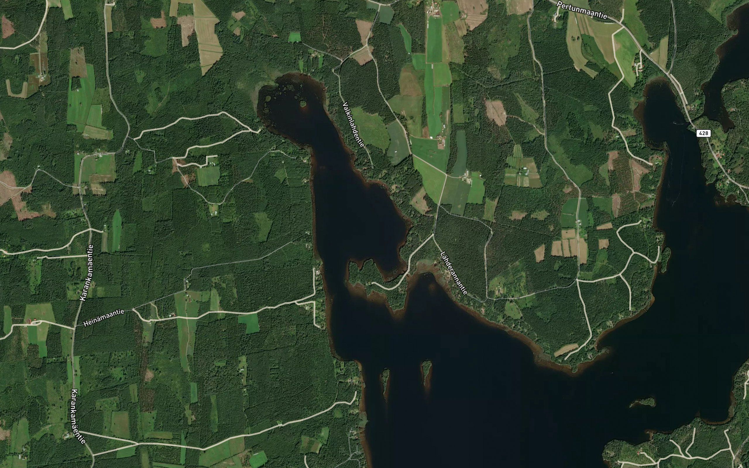 Pekkolanselka