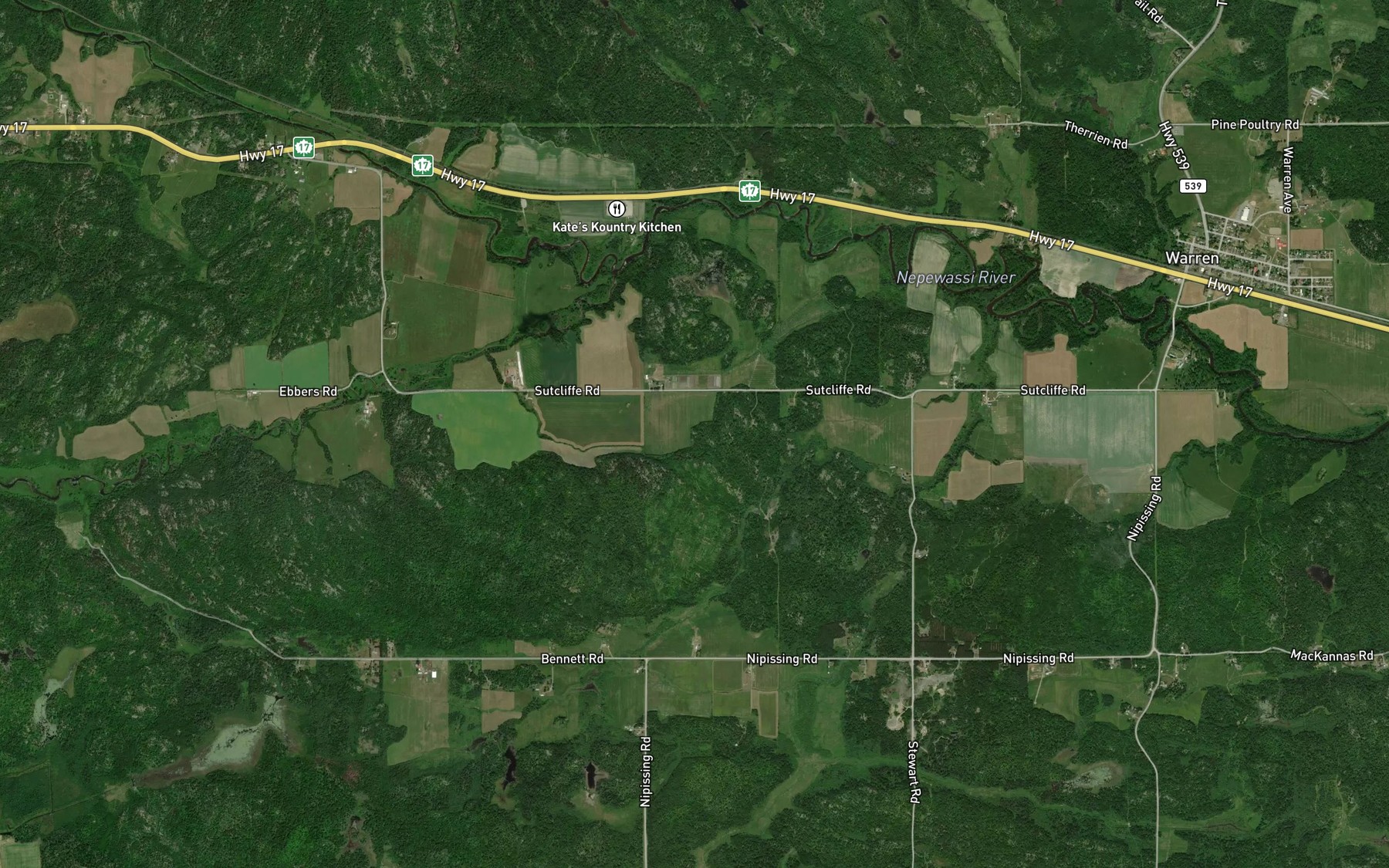 Satellite map of the Nepewassi River