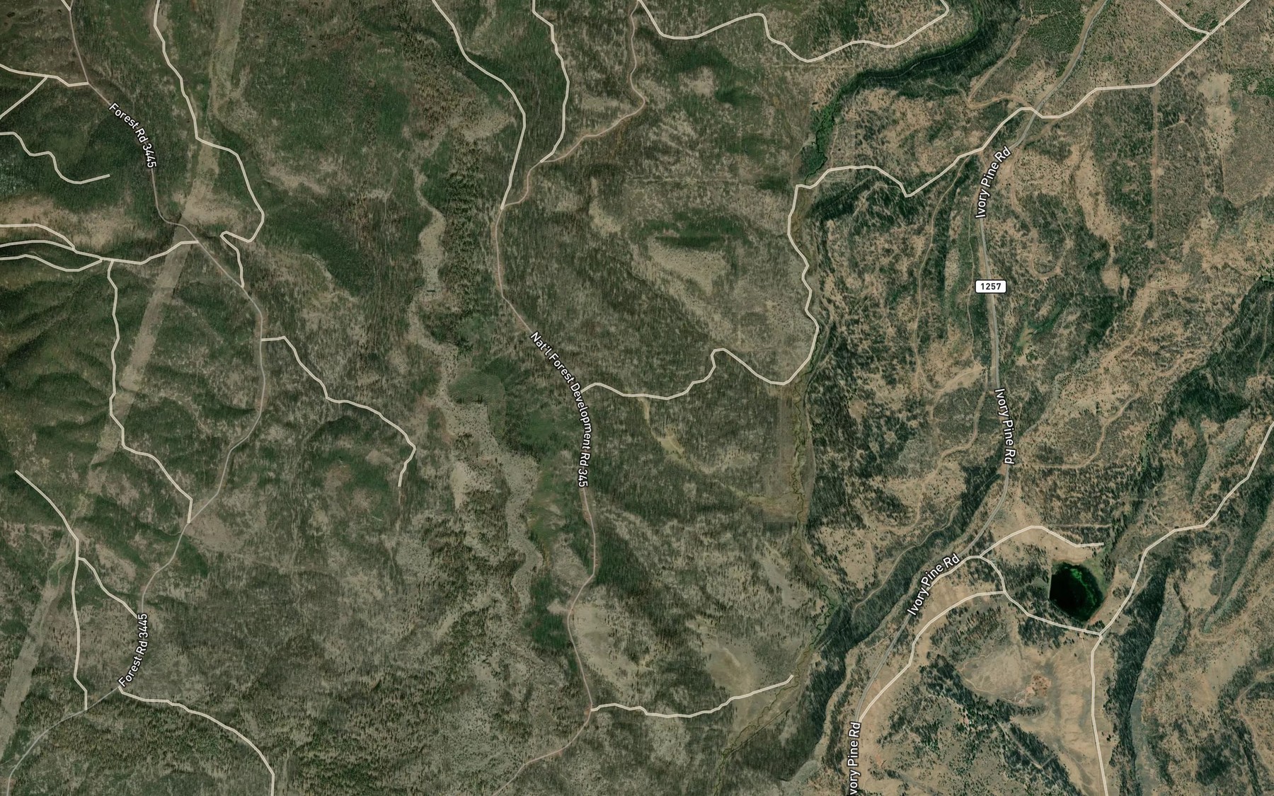 Satellite map of the Swamp Spring