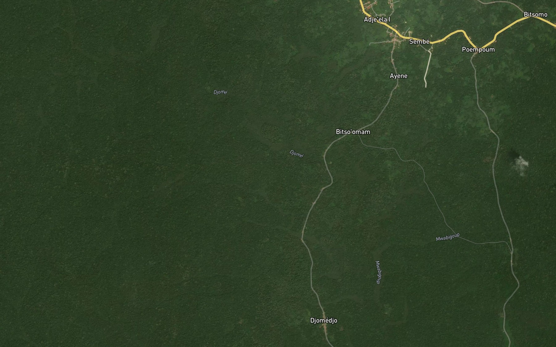 Satellite map of the Djeme