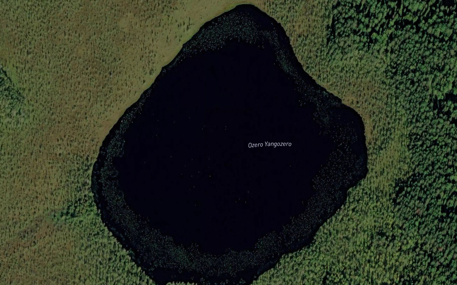 Satellite map of the Ozero Yangozero
