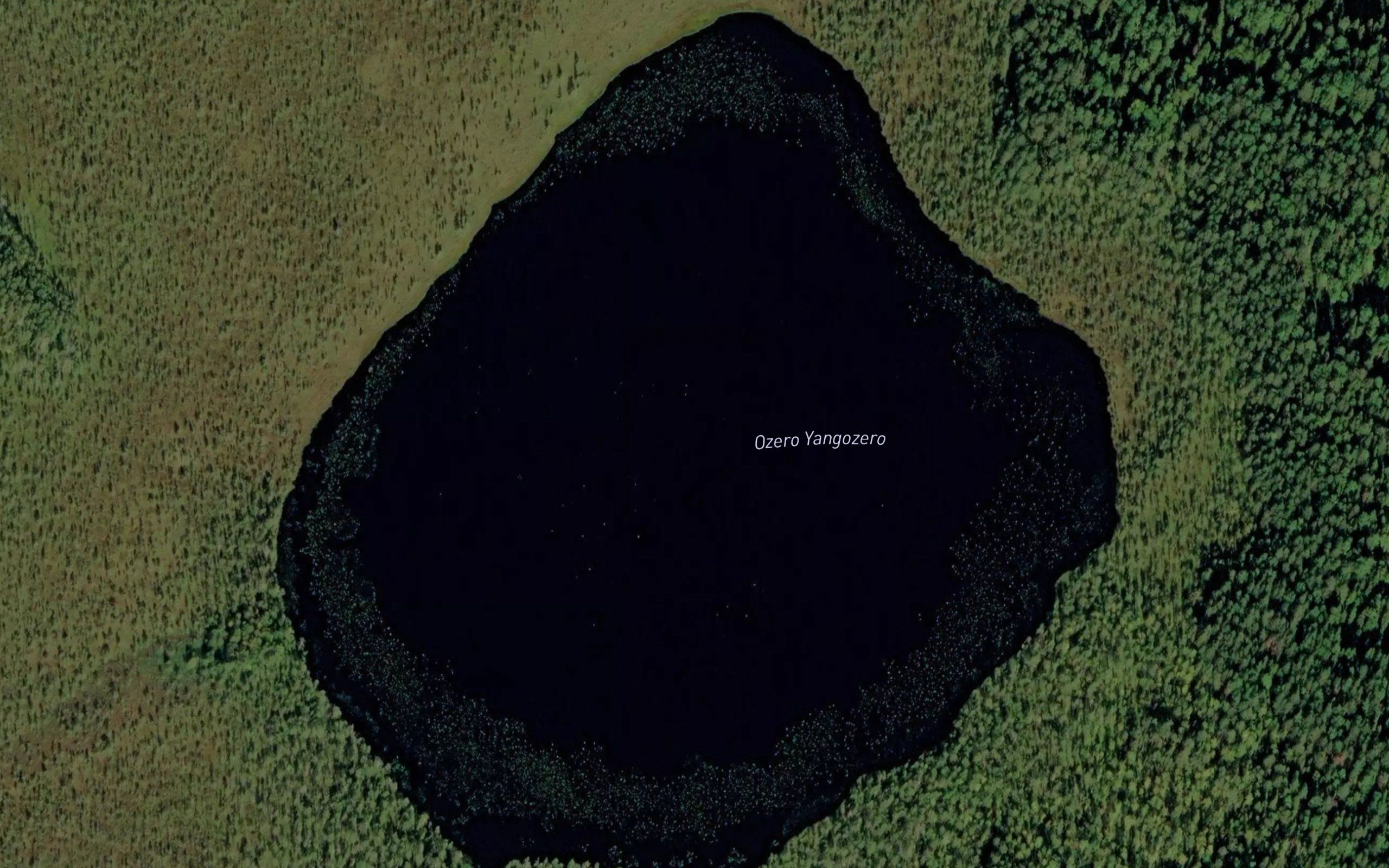 Ozero Yangozero