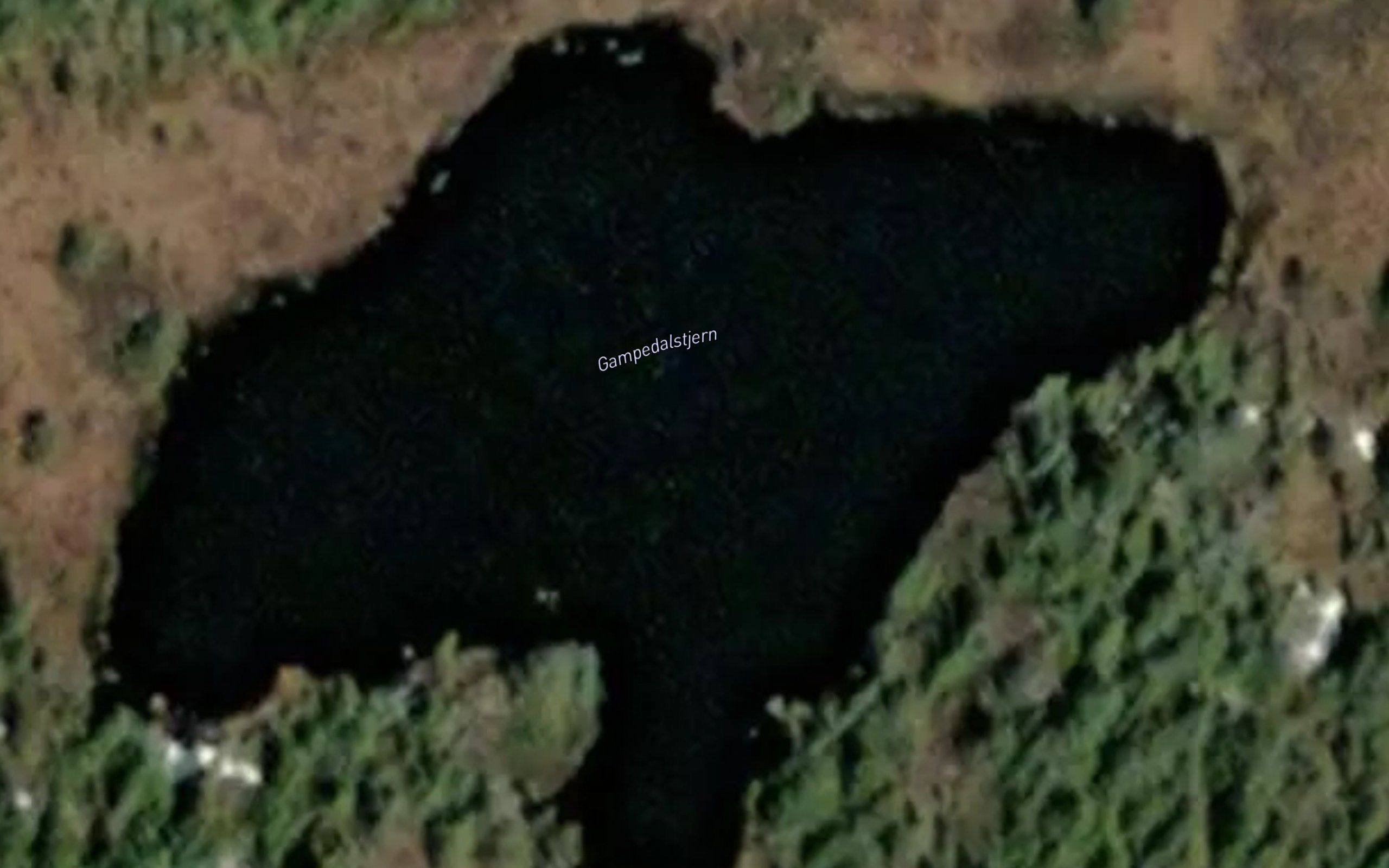 Gampedalstjern