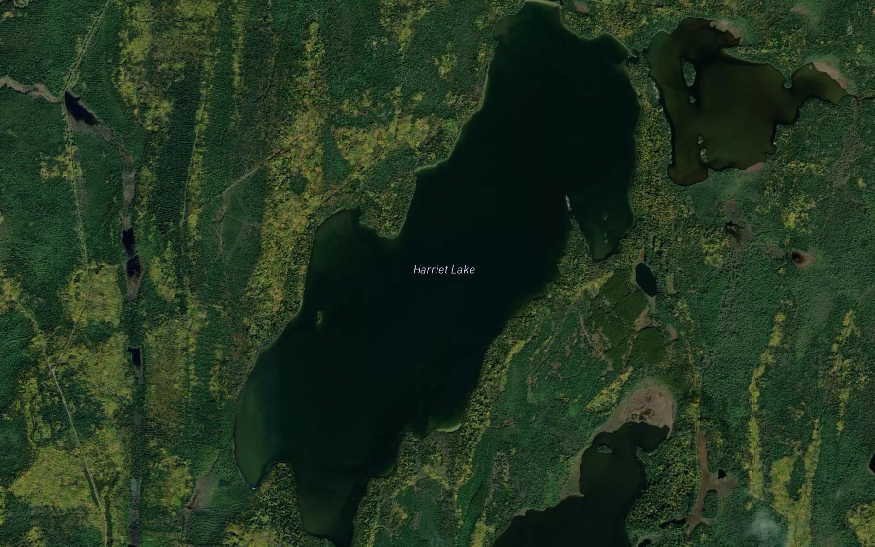 Satellite map of the Harriet Lake