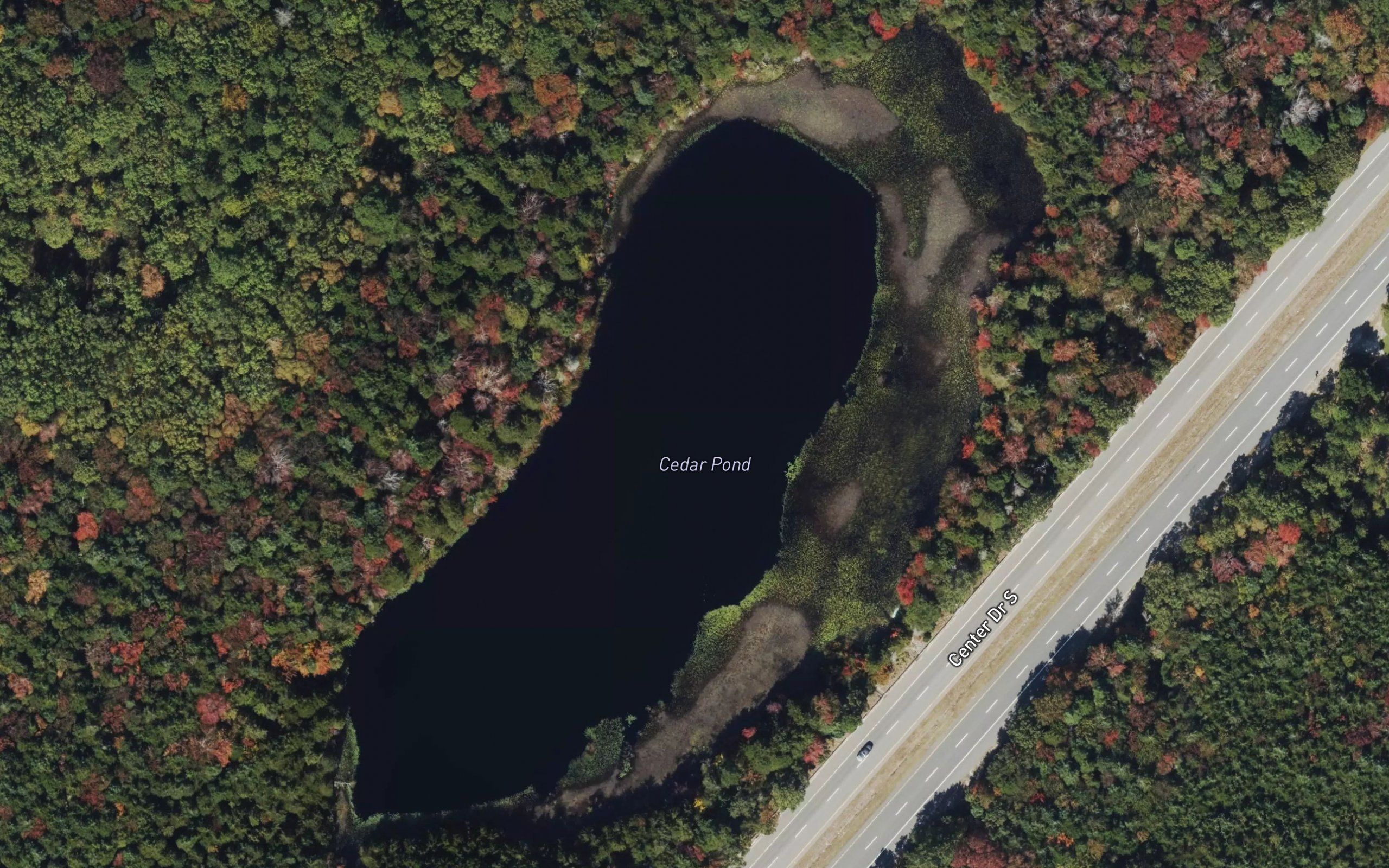 Cedar Pond