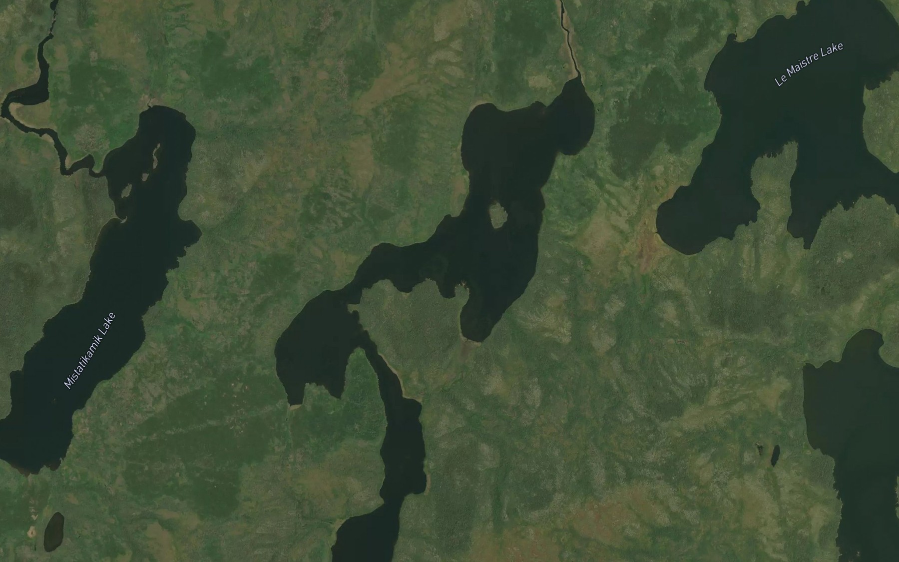 Satellite map of the Allan Parker Lake
