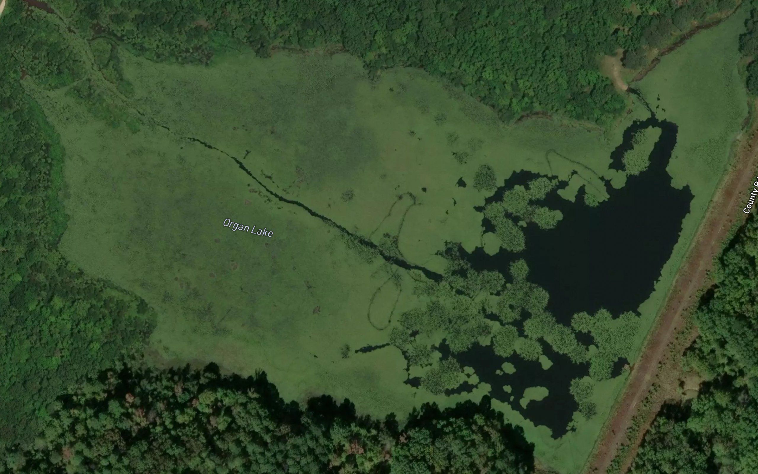 Organ Lake