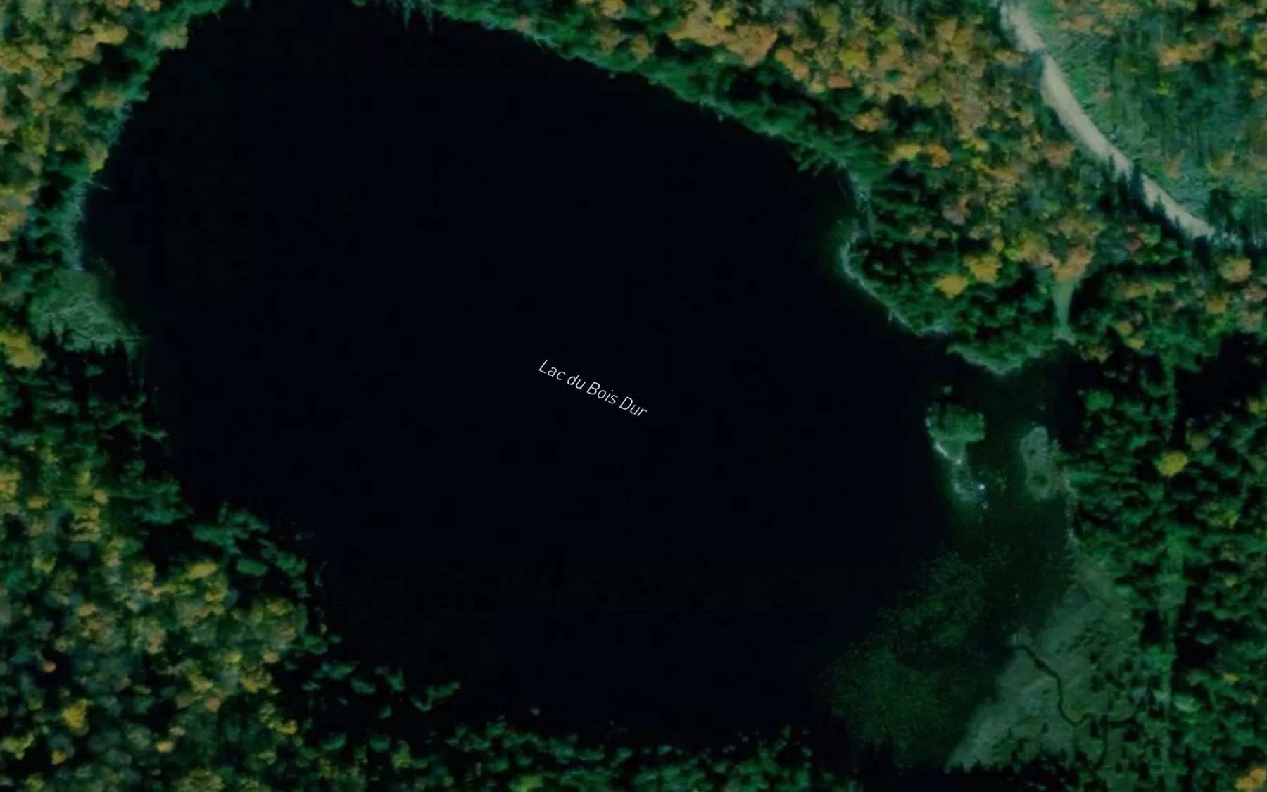 Satellite map of the Lac du Bois Dur