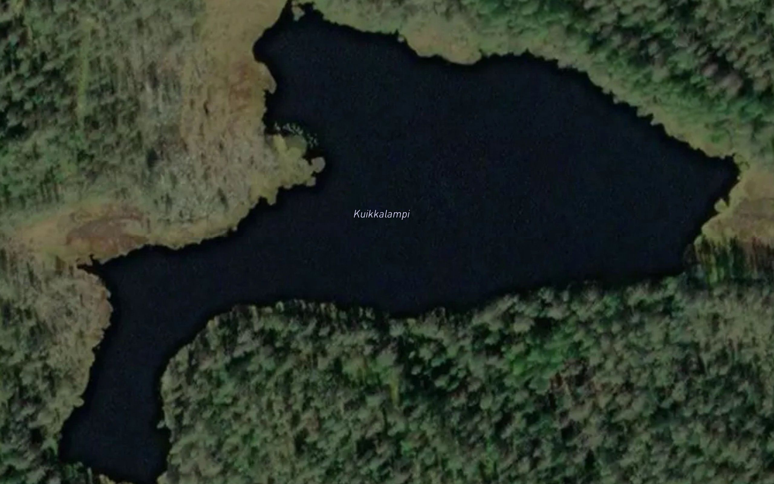 Kuikkalammit
