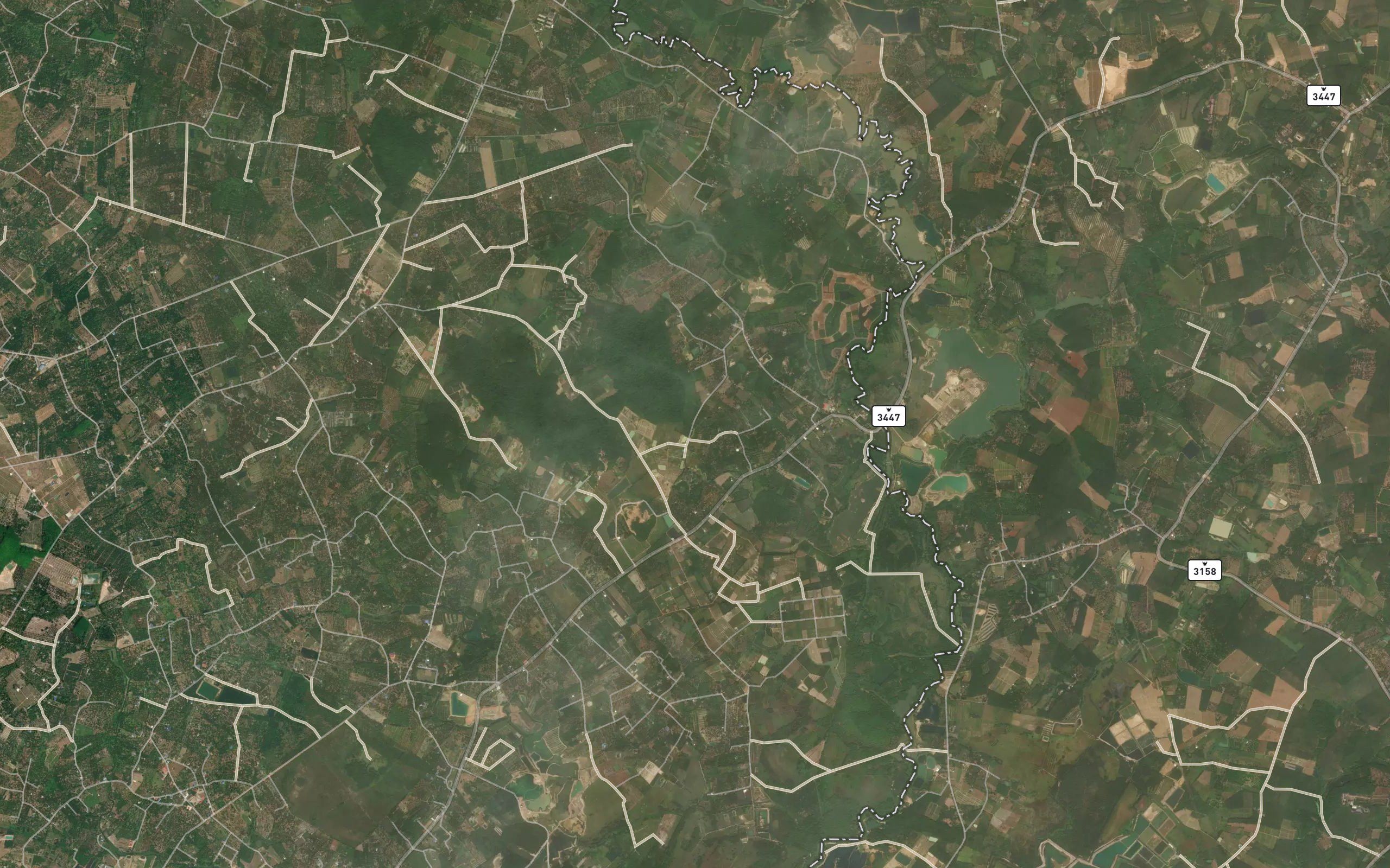 Nong Prong