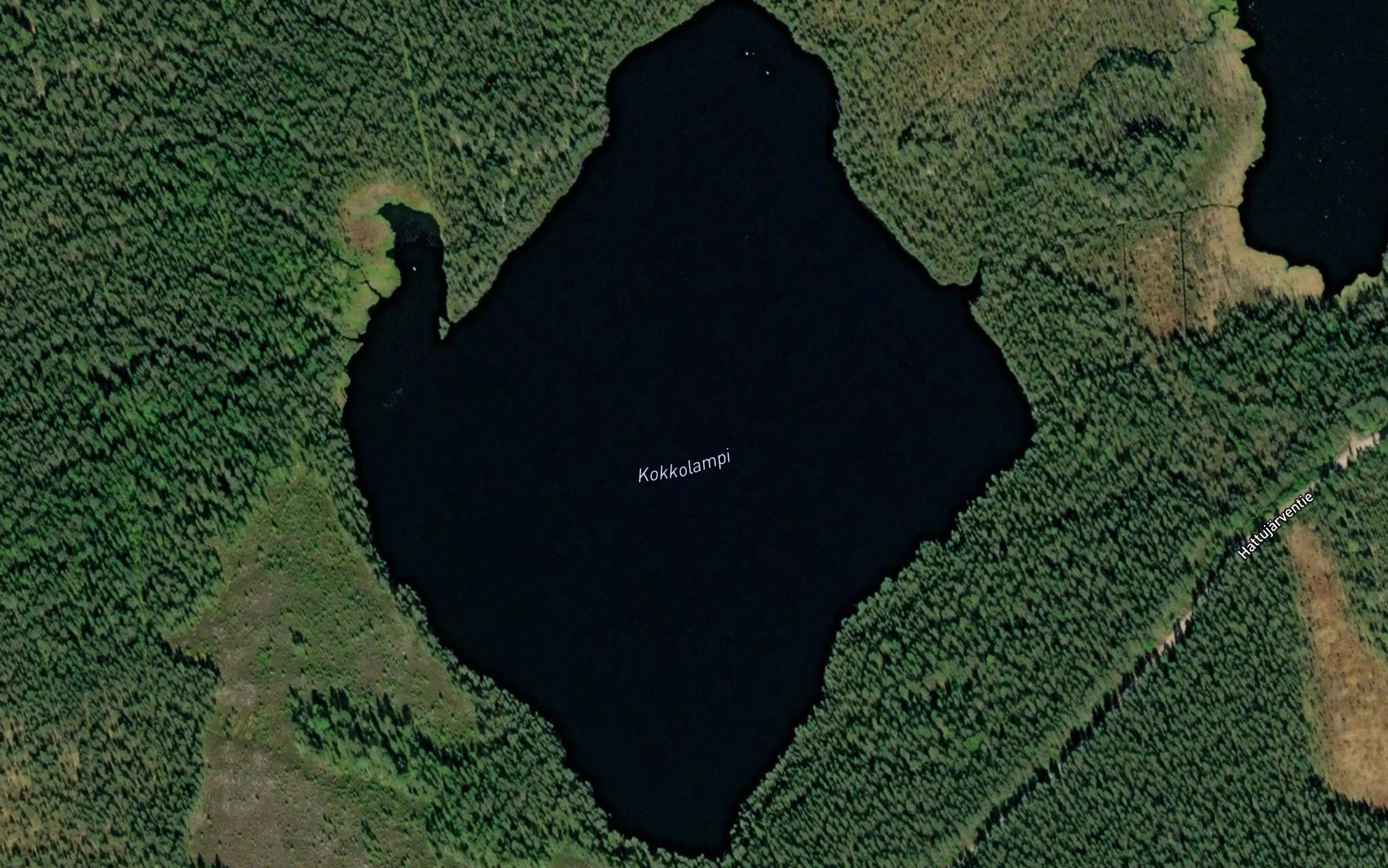 Kokkolampi
