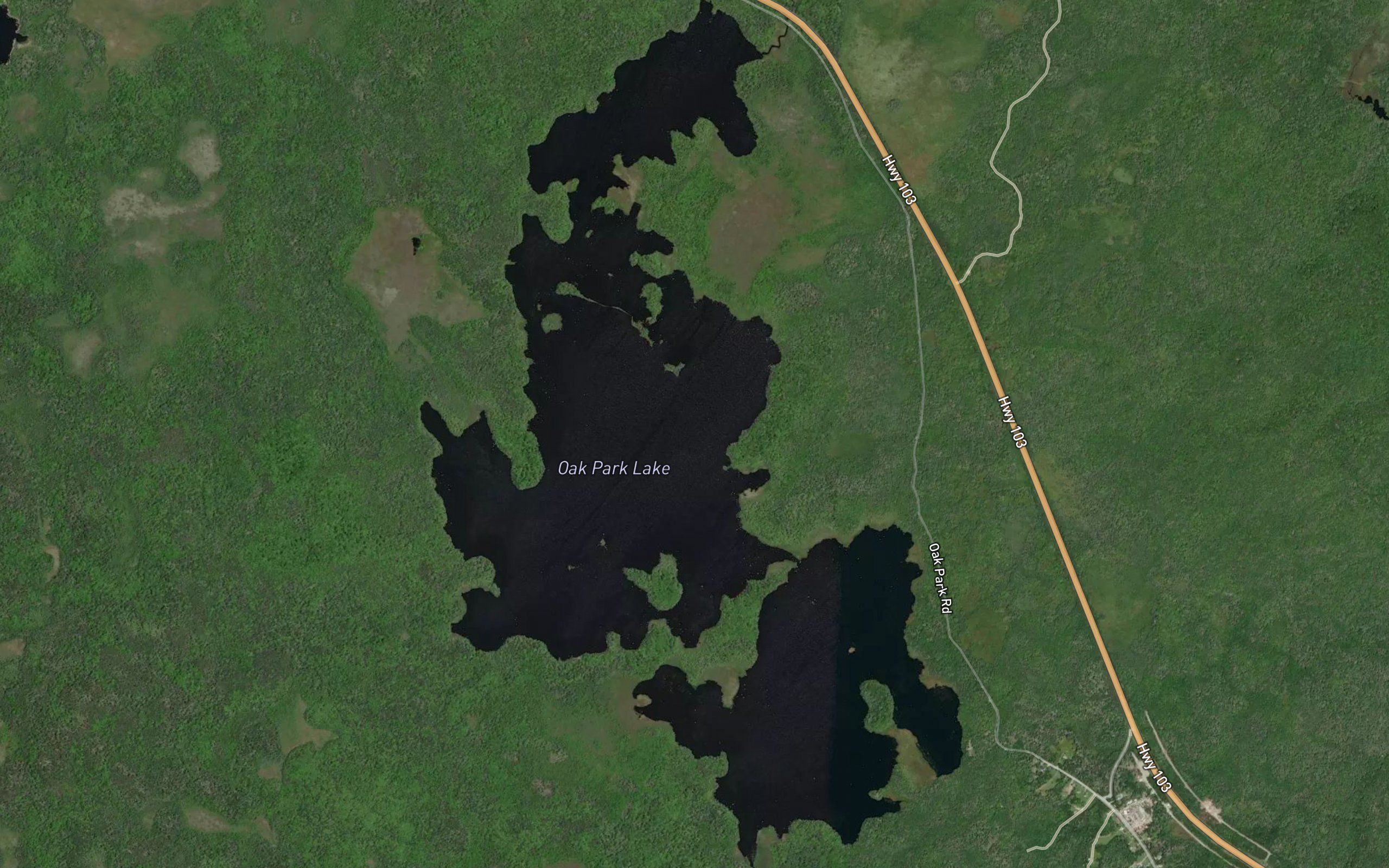 Oak Park Lake