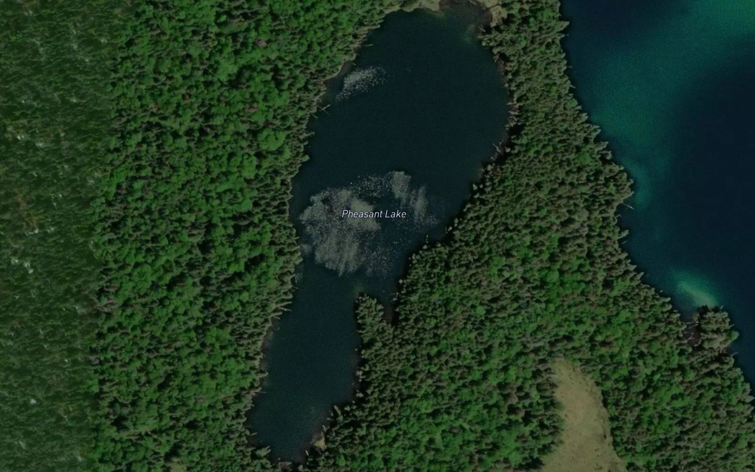 Pheasant Lake