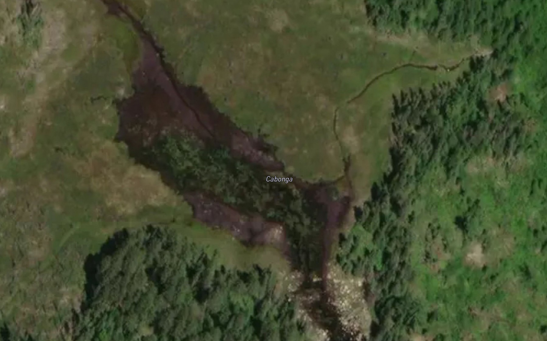 Satellite map of the Lac Cabonga