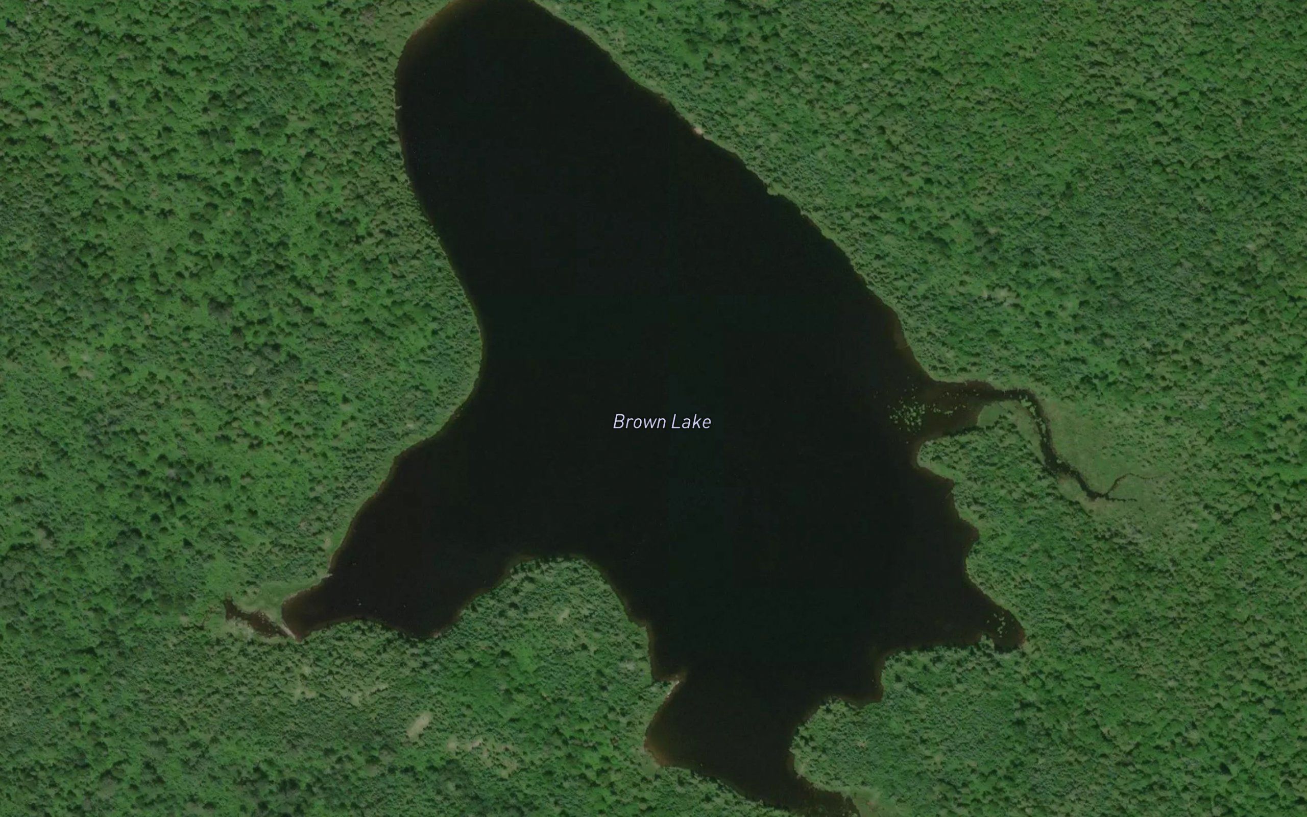Brown Lake