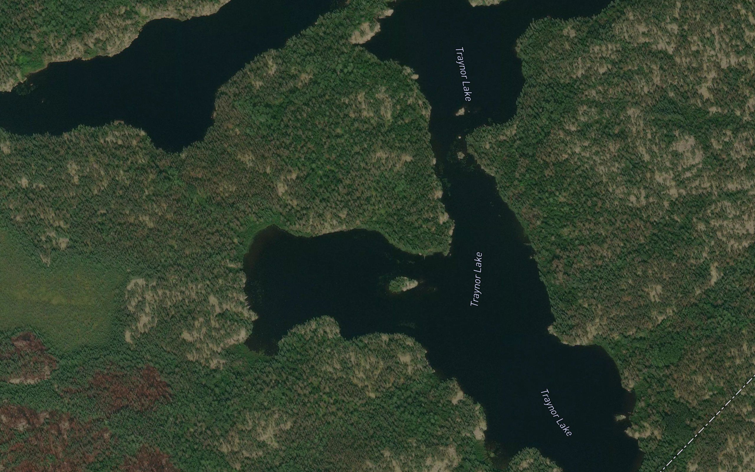 Traynor Lake