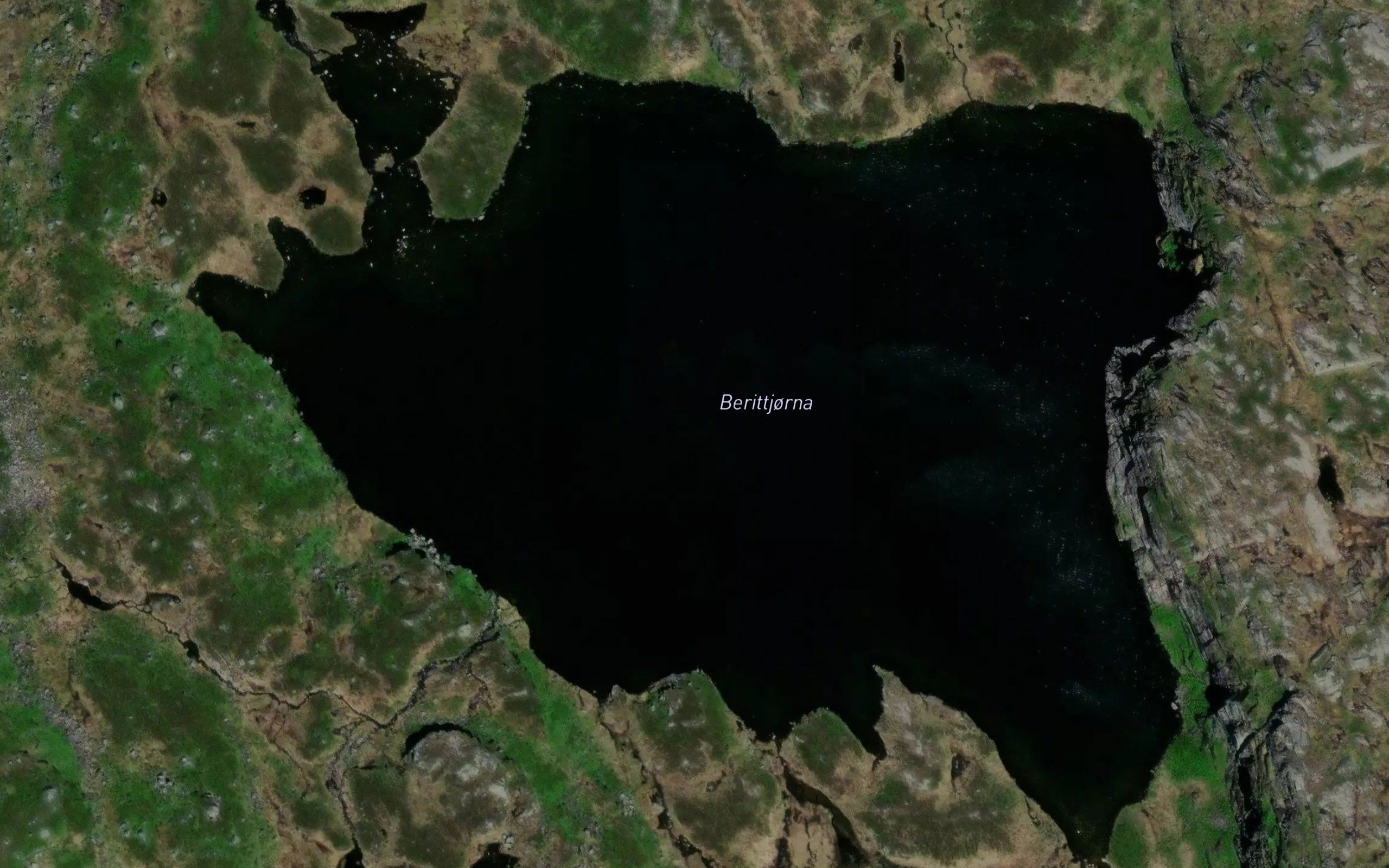 Berittjorna