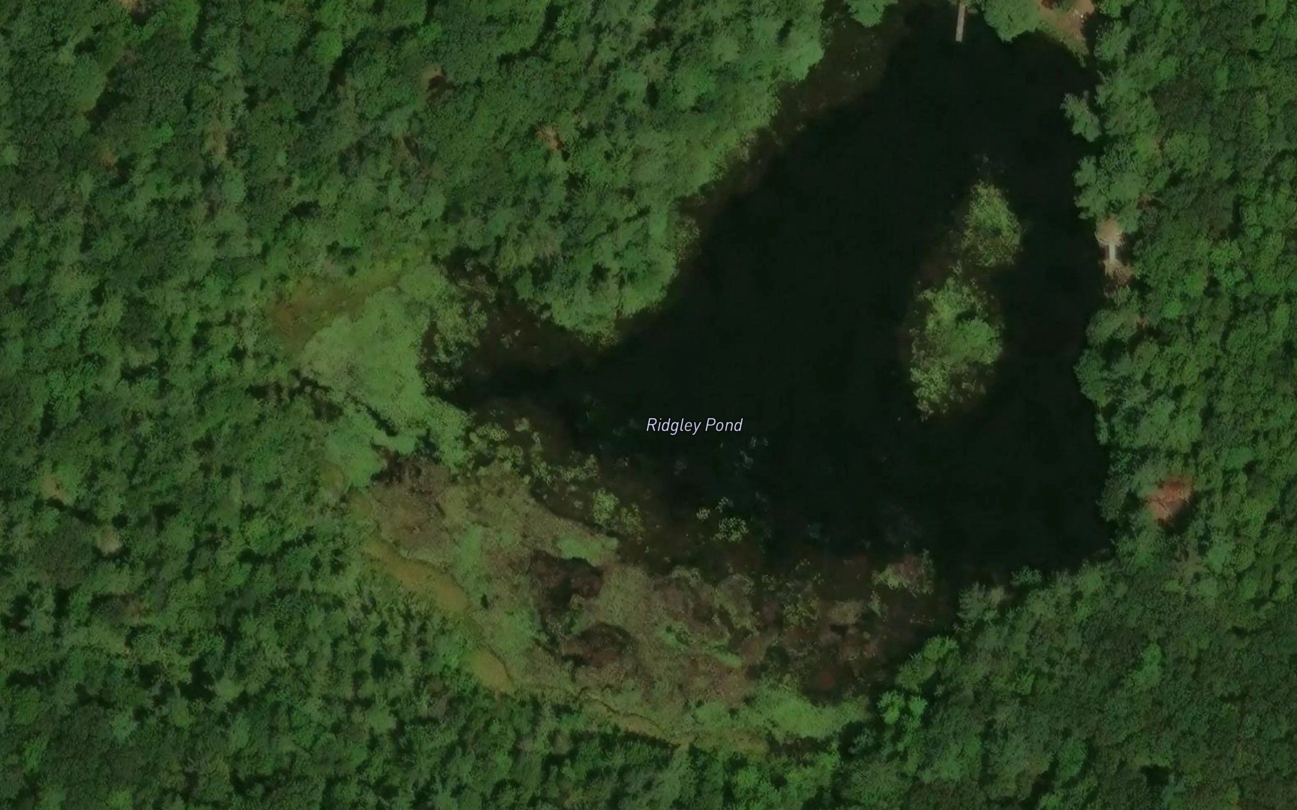 Ridgley Pond