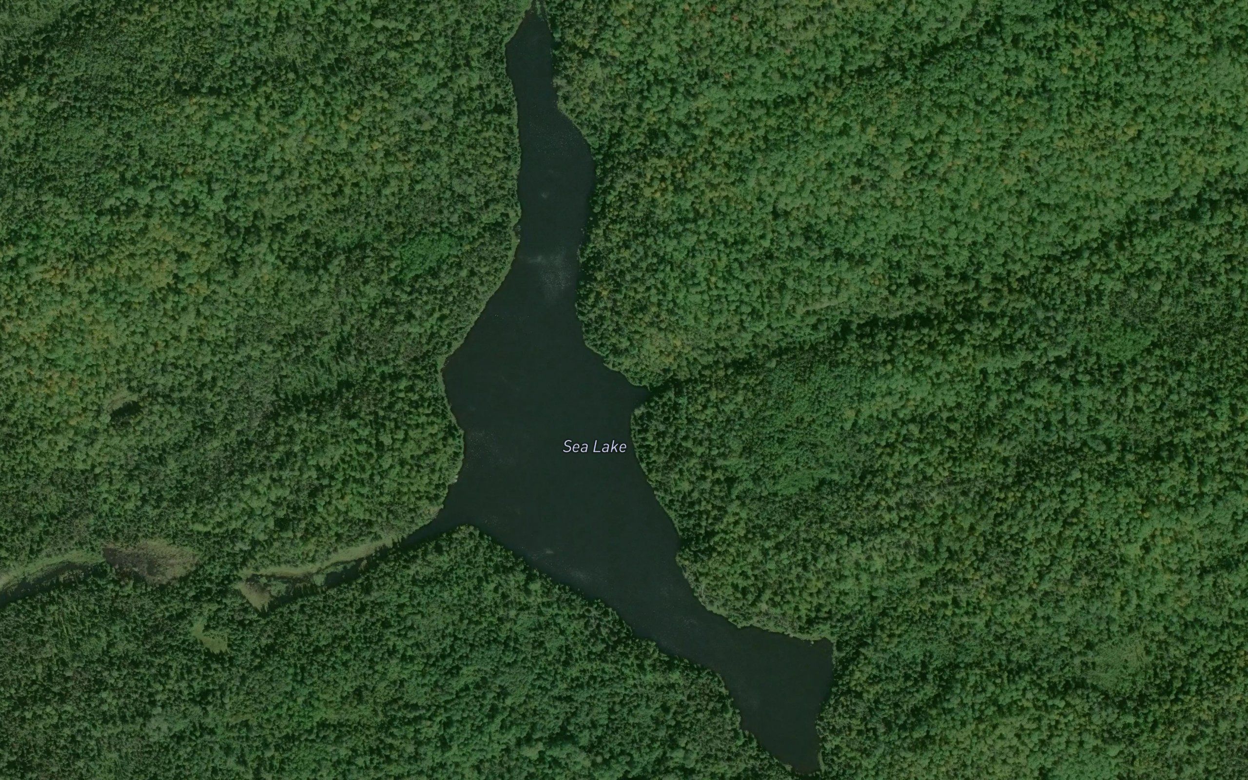 Sea Lake