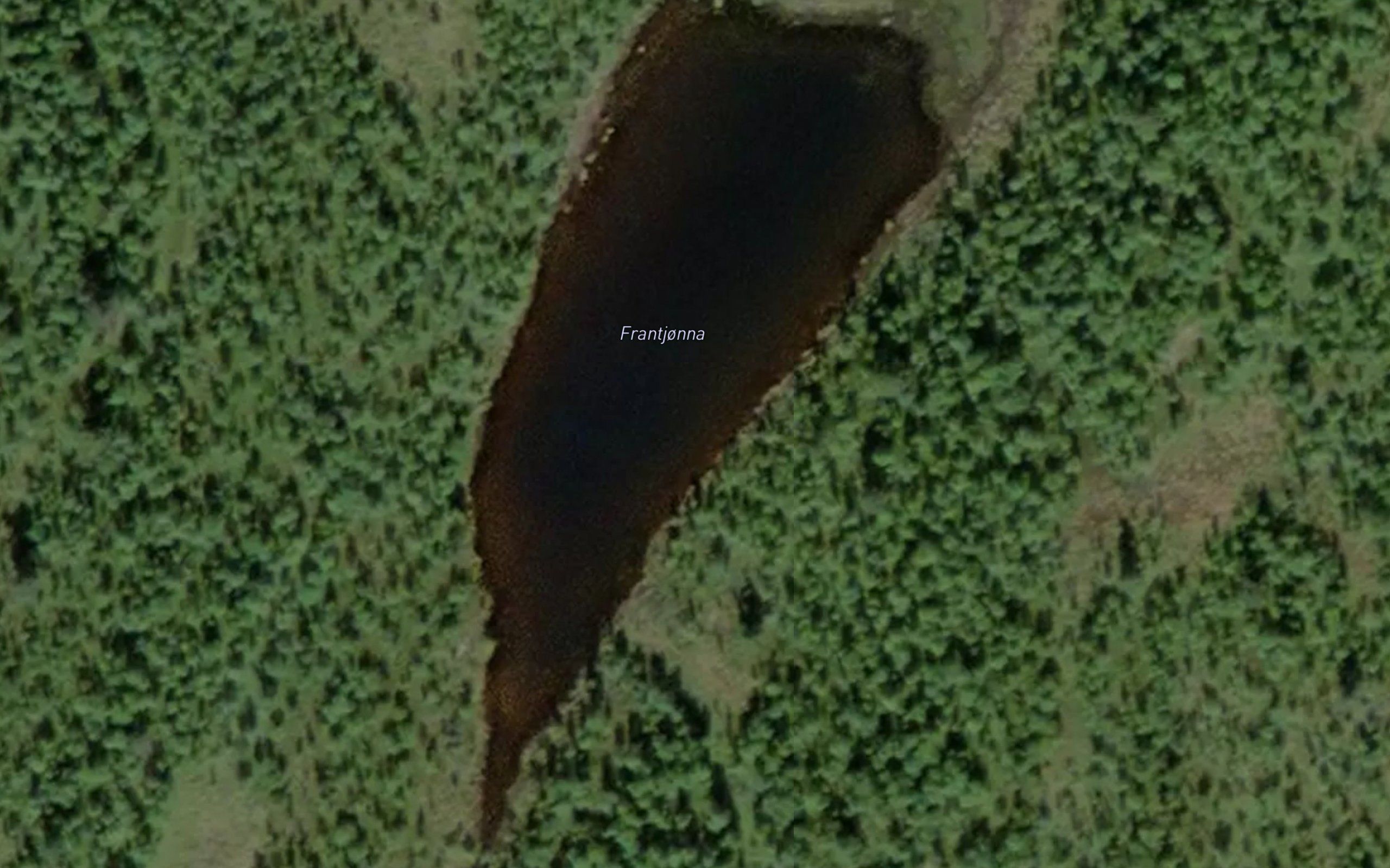 Frantjorna
