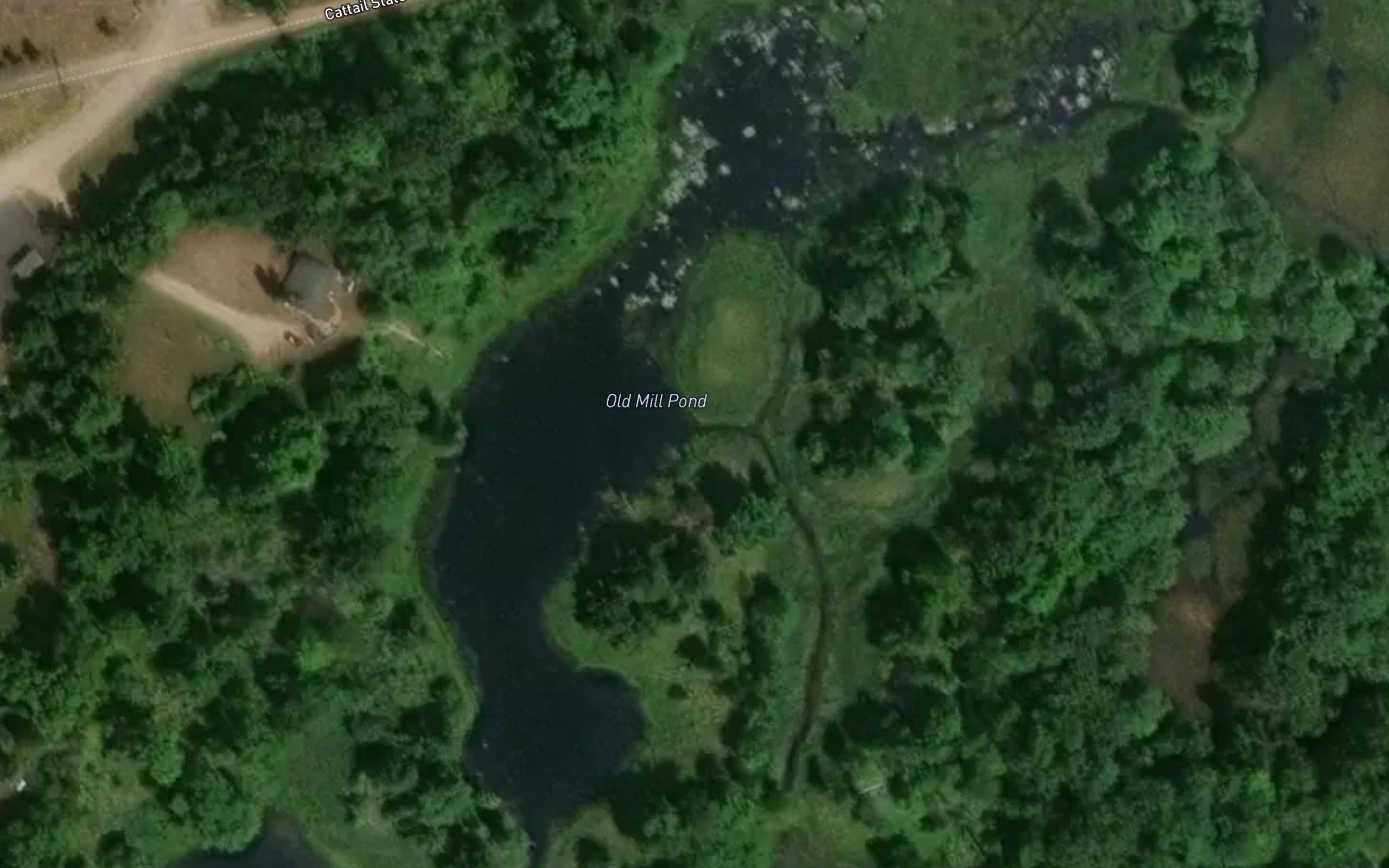 Old Mill Pond