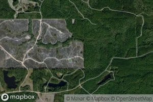 Tensaw Land and Timber Co Pond