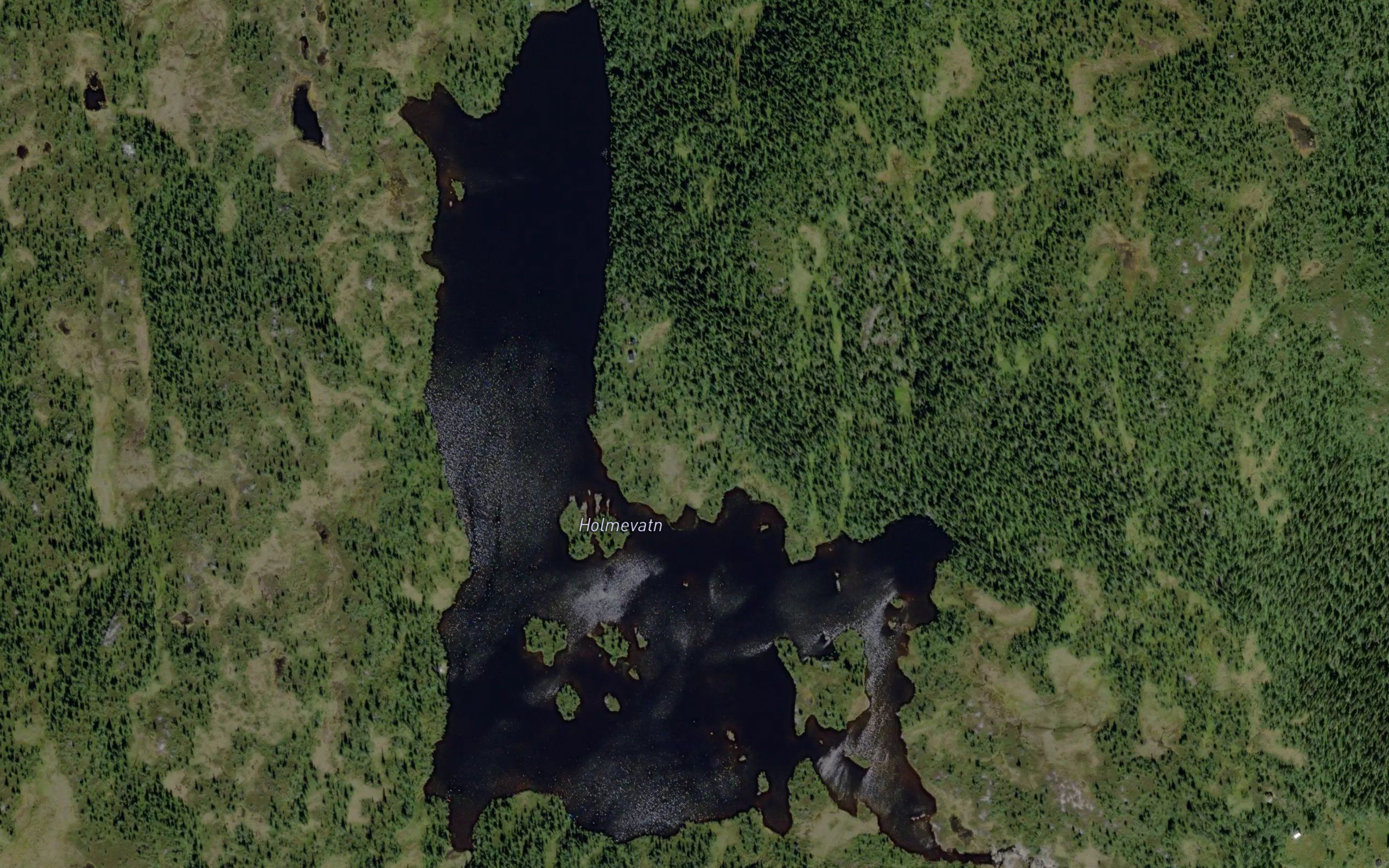 Holmevatn