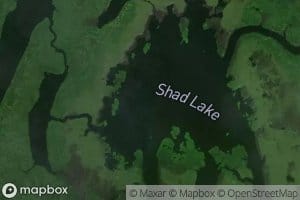 Shad Lake