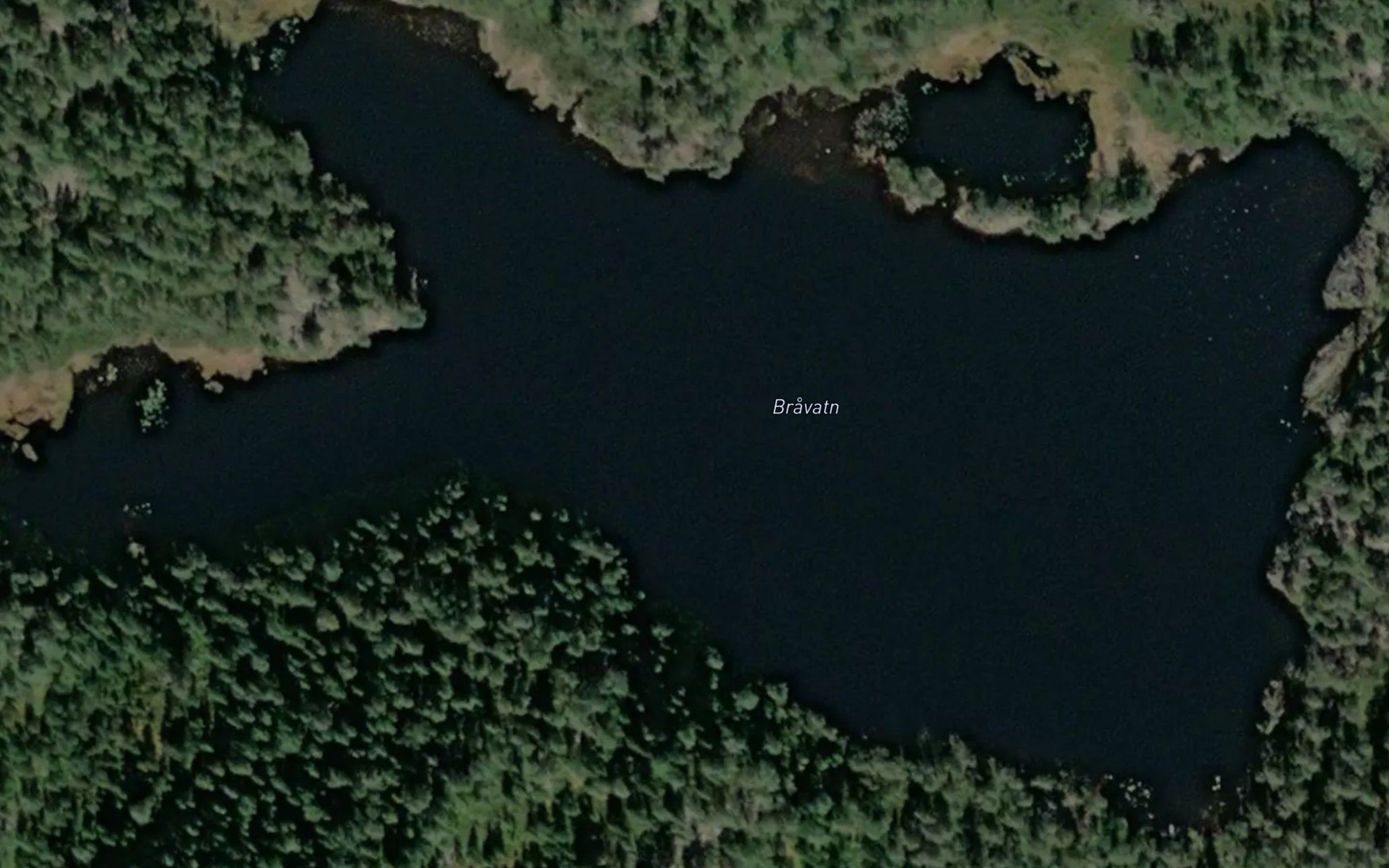 Bravatn