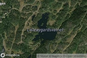 Lisleoygardsvatn