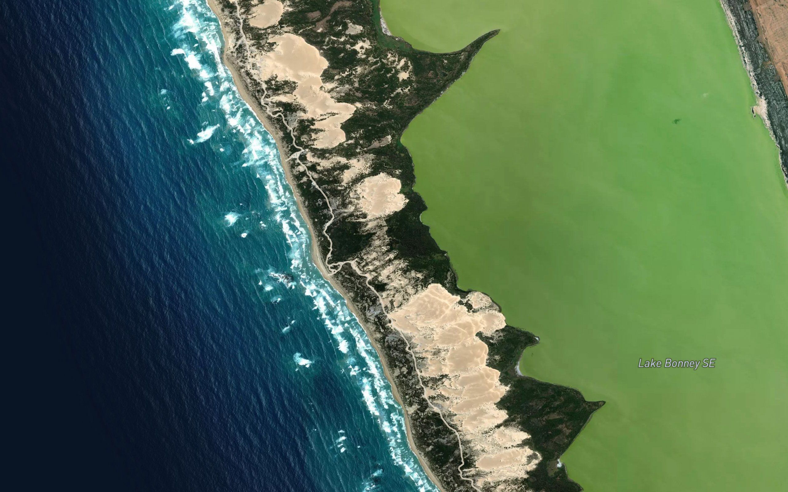 Whale Rock Lake