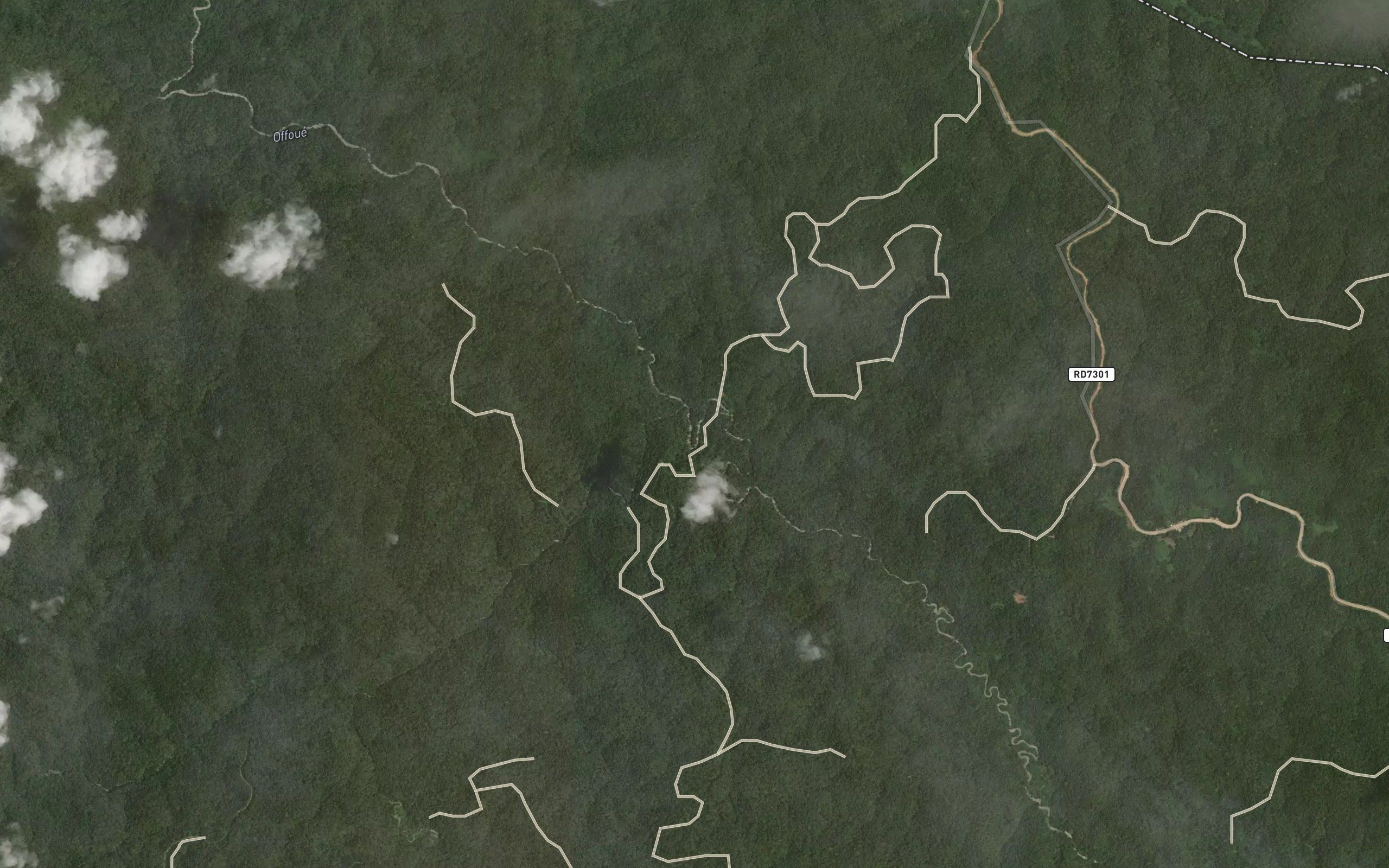 Dikobi