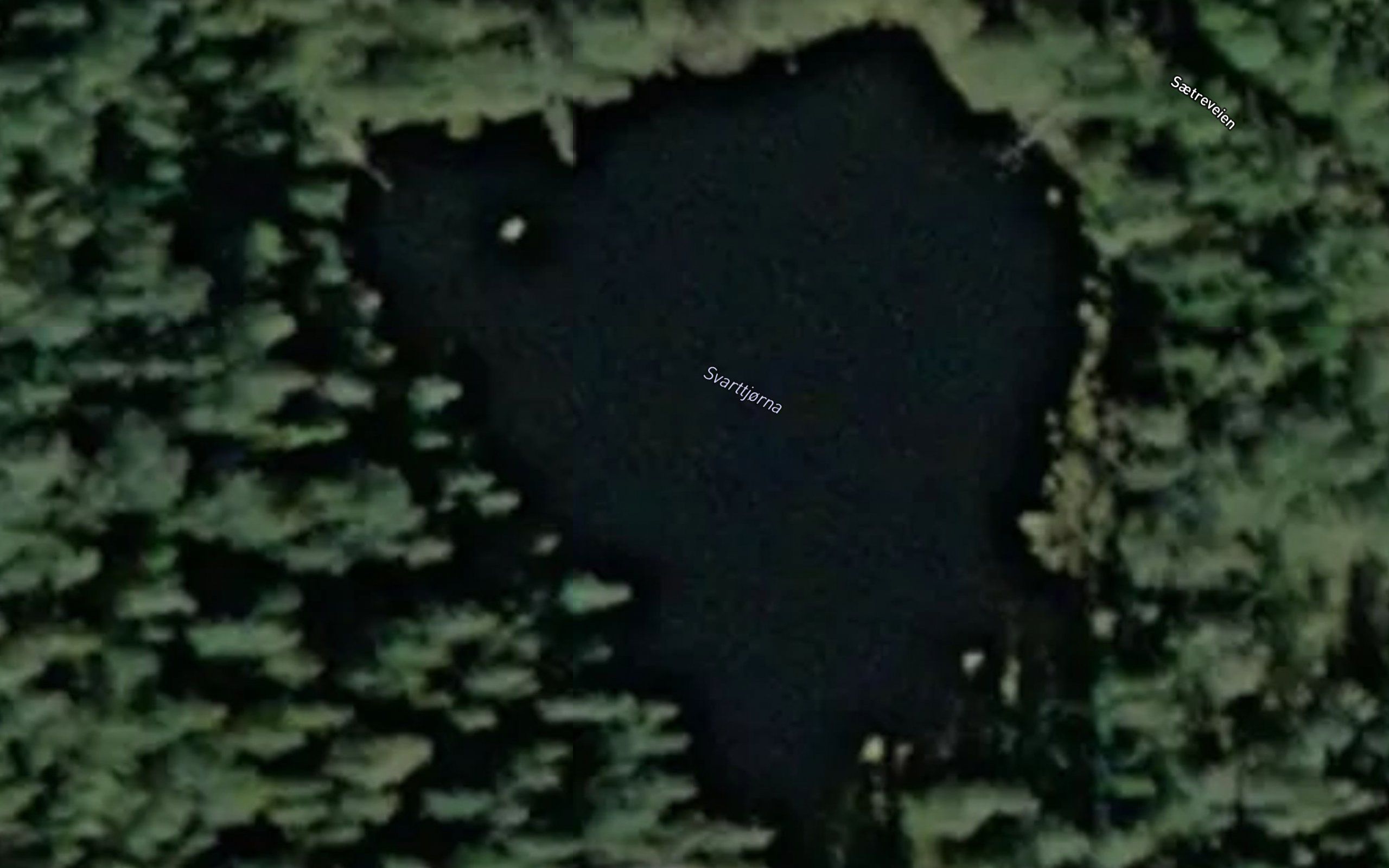 Svarttjorna