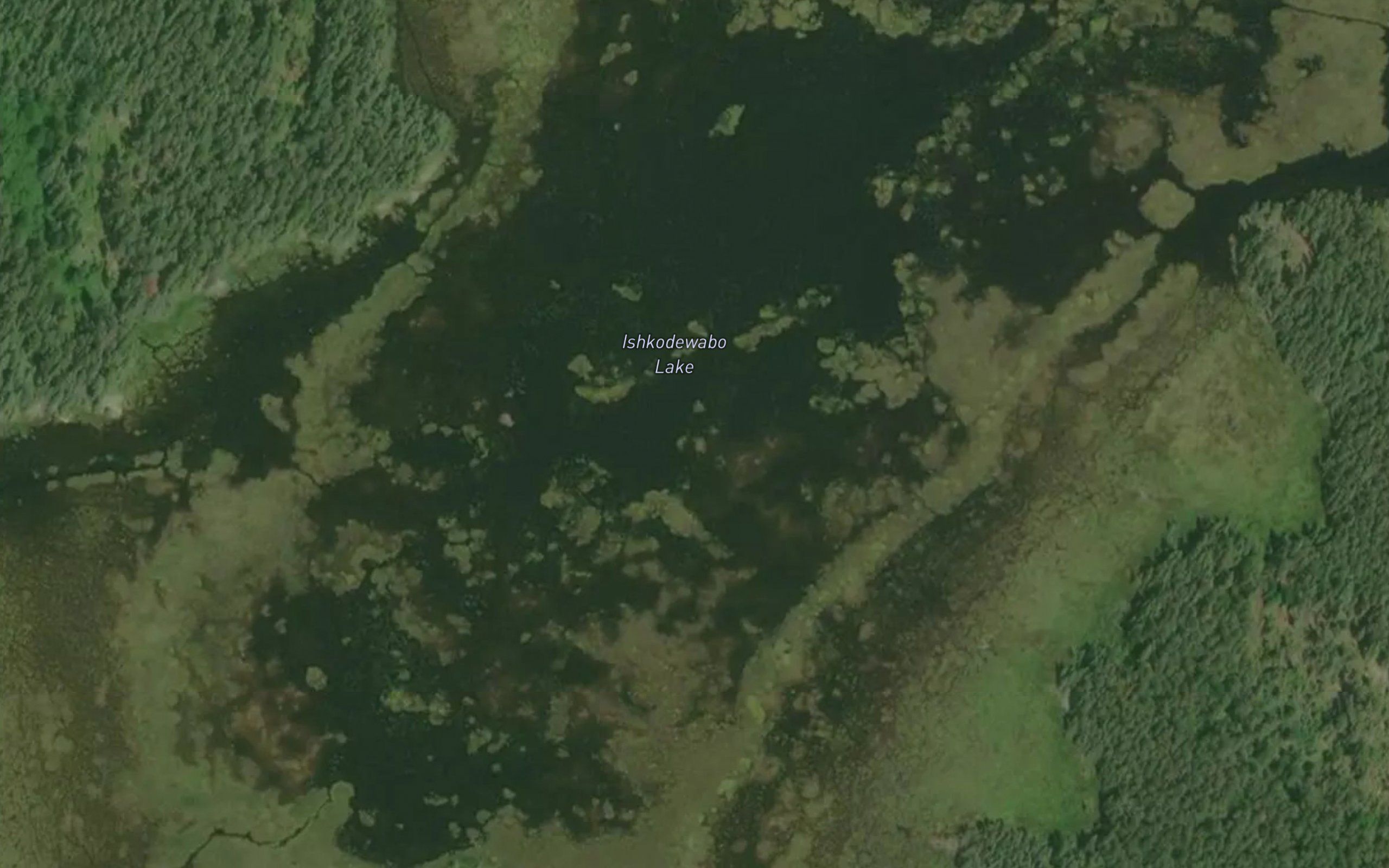 Ishkodewabo Lake