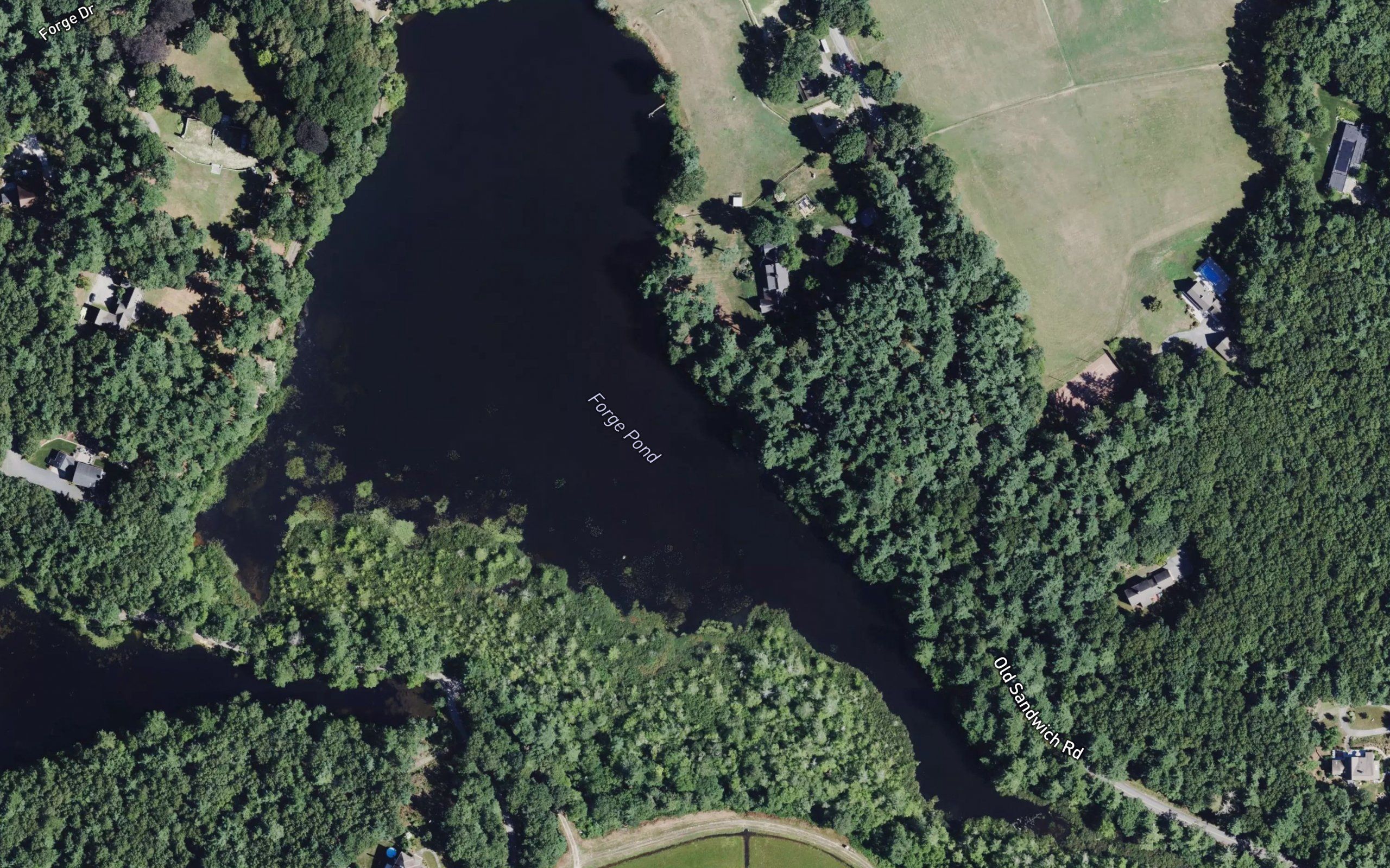 Forge Pond